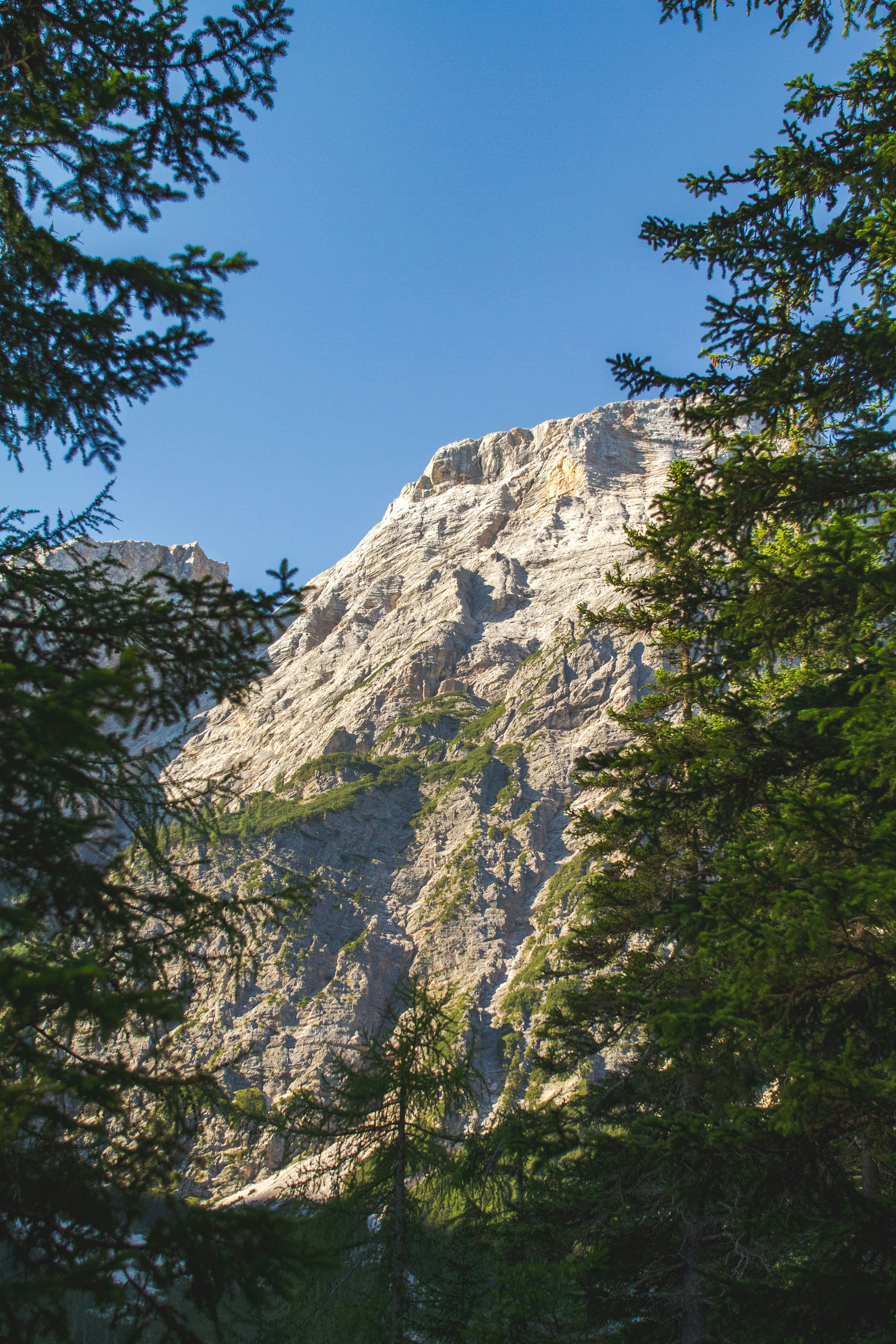 Photo by mattia_poli_04