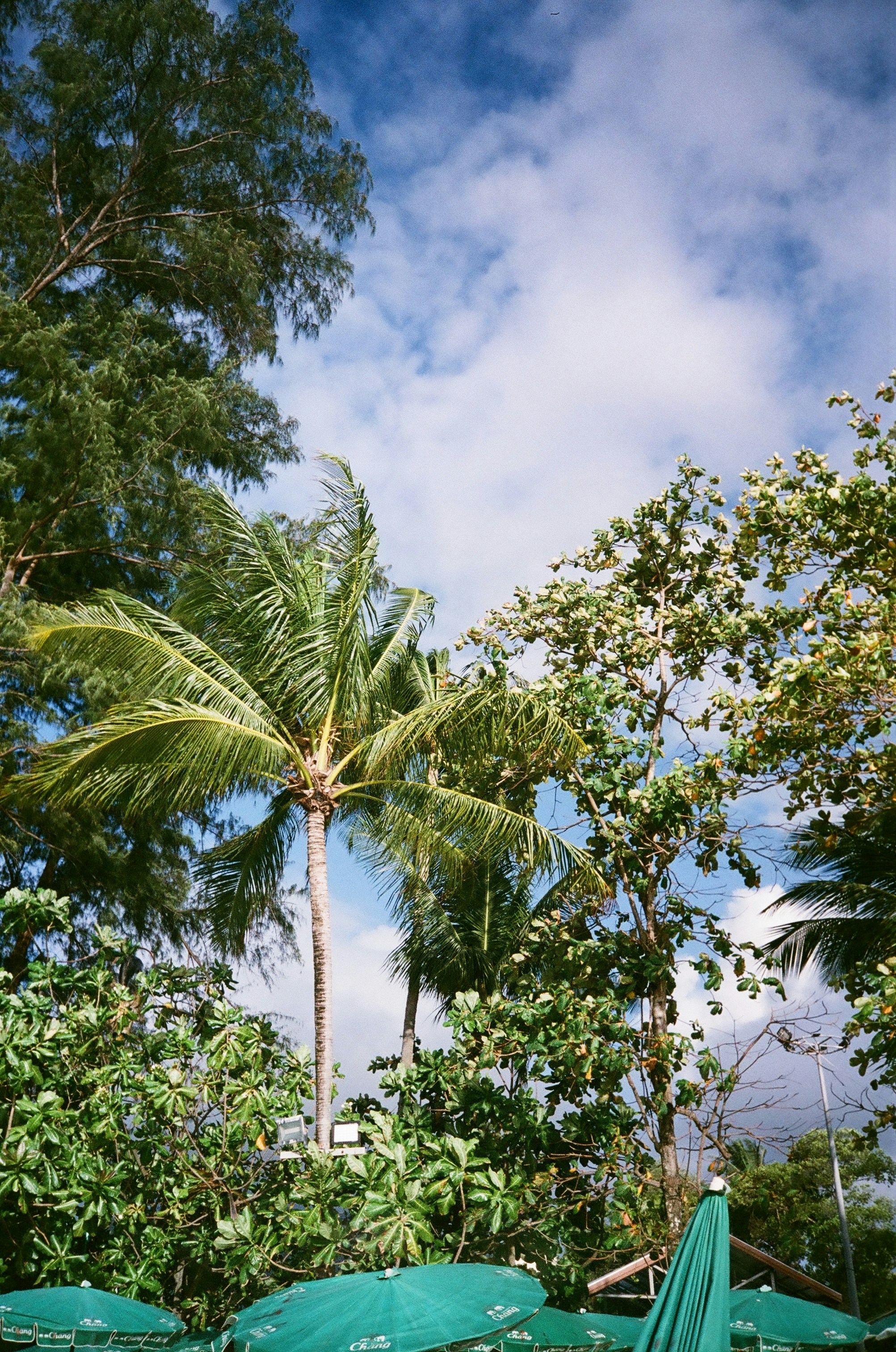 photo of American Samoa