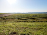 Lush green agricultural fields stretching towards the horizon under a clear sky.