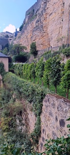 A picturesque retaining wall enhancing a landscaped yard.