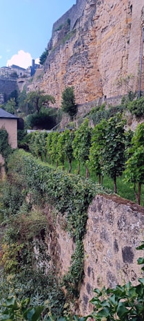 A picturesque retaining wall enhancing a landscaped yard.