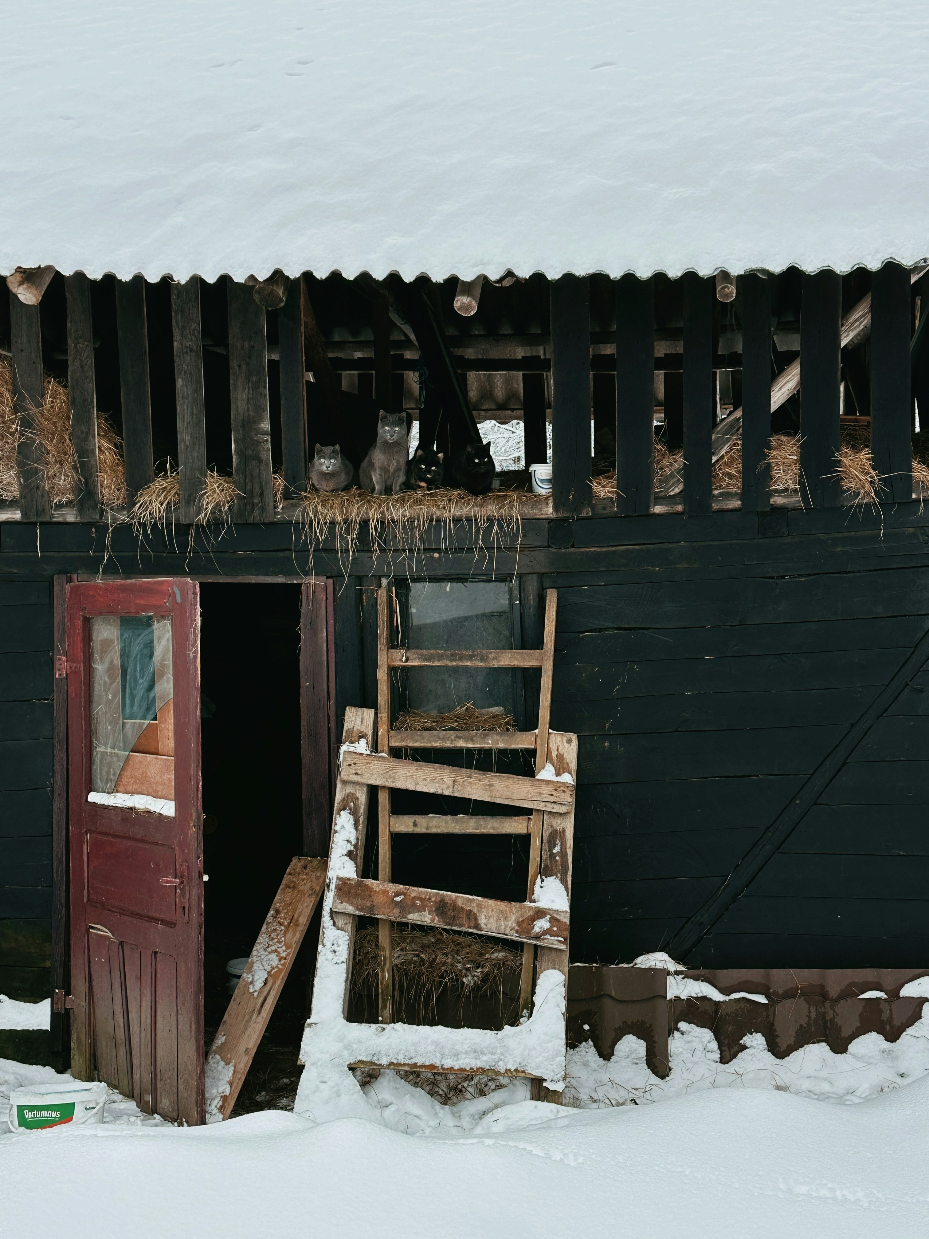 Photo by alexandraleru