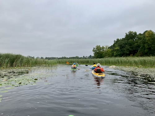A group of people is kayaking through a calm, narrow waterway surrounded by tall grass and trees. The sky is overcast, and the water reflects the cloudy sky above. The kayakers are wearing various colors, enhancing the natural setting.