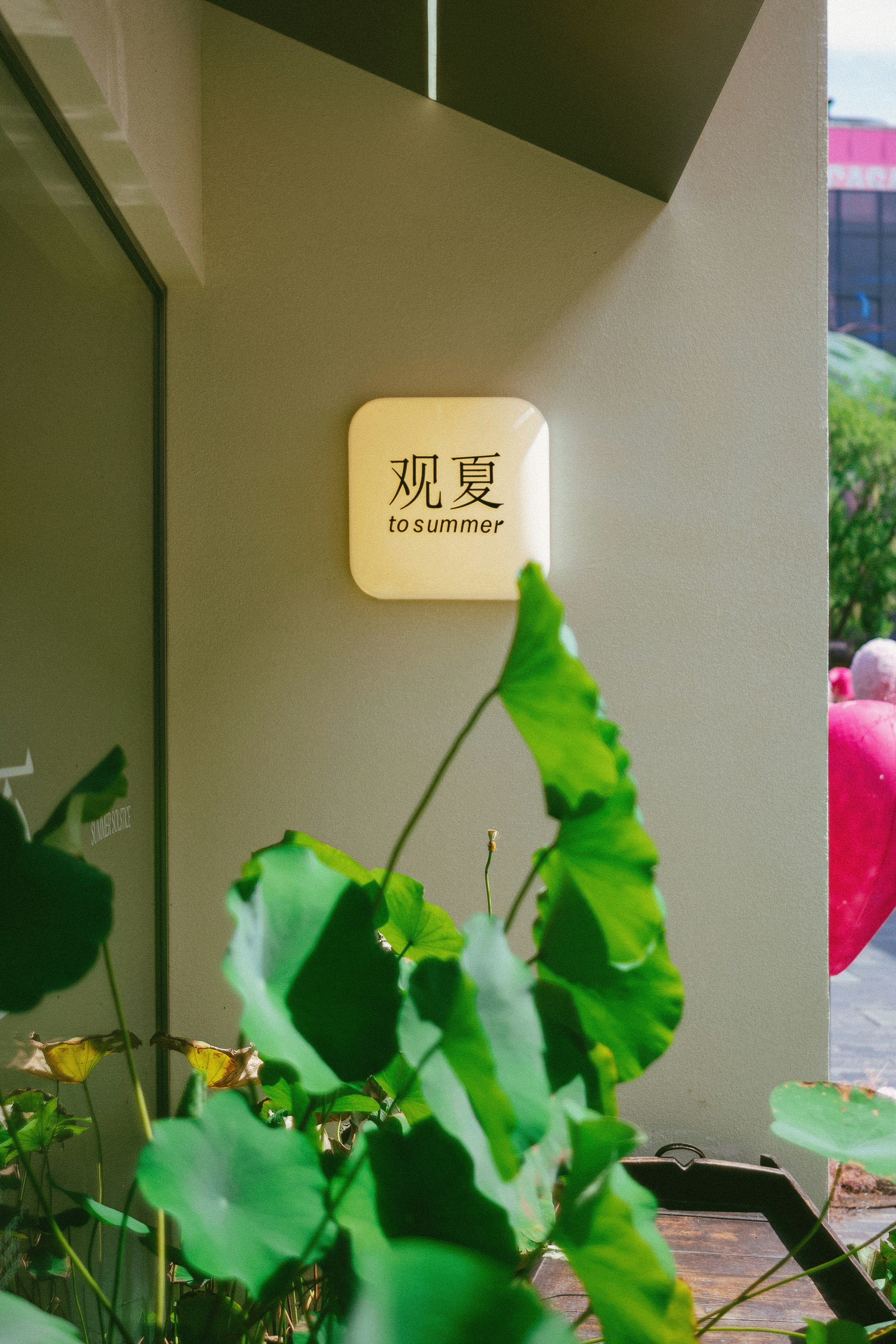 여름 직장인을 위한 완벽한 여름휴가 가이드