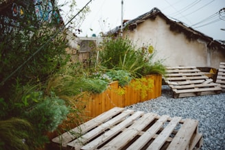 Wooden pallets are placed on a gravel surface leading to a raised planter box filled with various lush green plants and yellow flowers. In the background, there is an old building with a worn roof and some graffiti on the walls. Overhead utility wires can be seen against the clear sky.