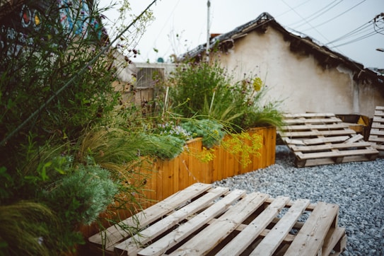 Wooden pallets are placed on a gravel surface leading to a raised planter box filled with various lush green plants and yellow flowers. In the background, there is an old building with a worn roof and some graffiti on the walls. Overhead utility wires can be seen against the clear sky.