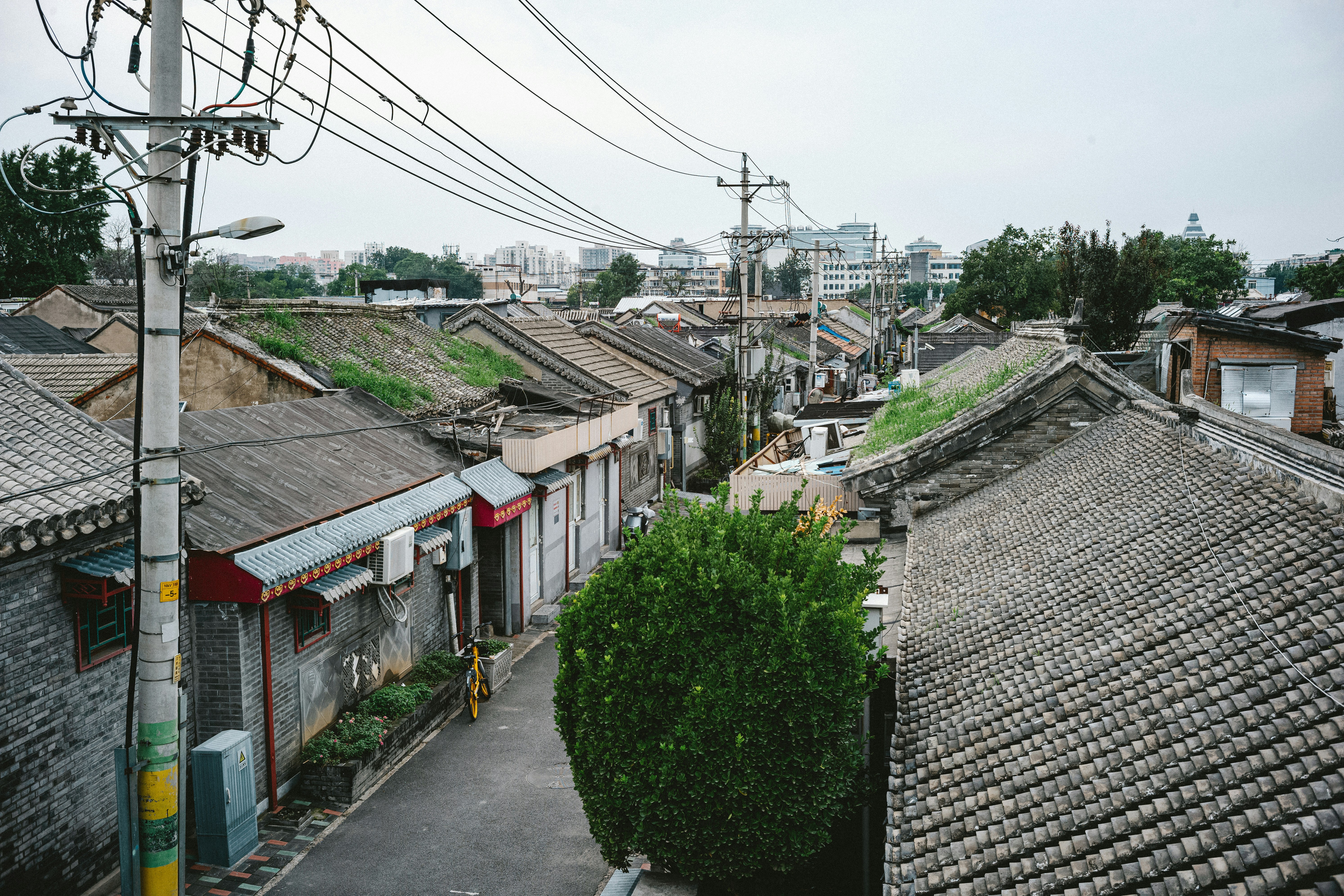 Graph illustrating the impact of local SEO