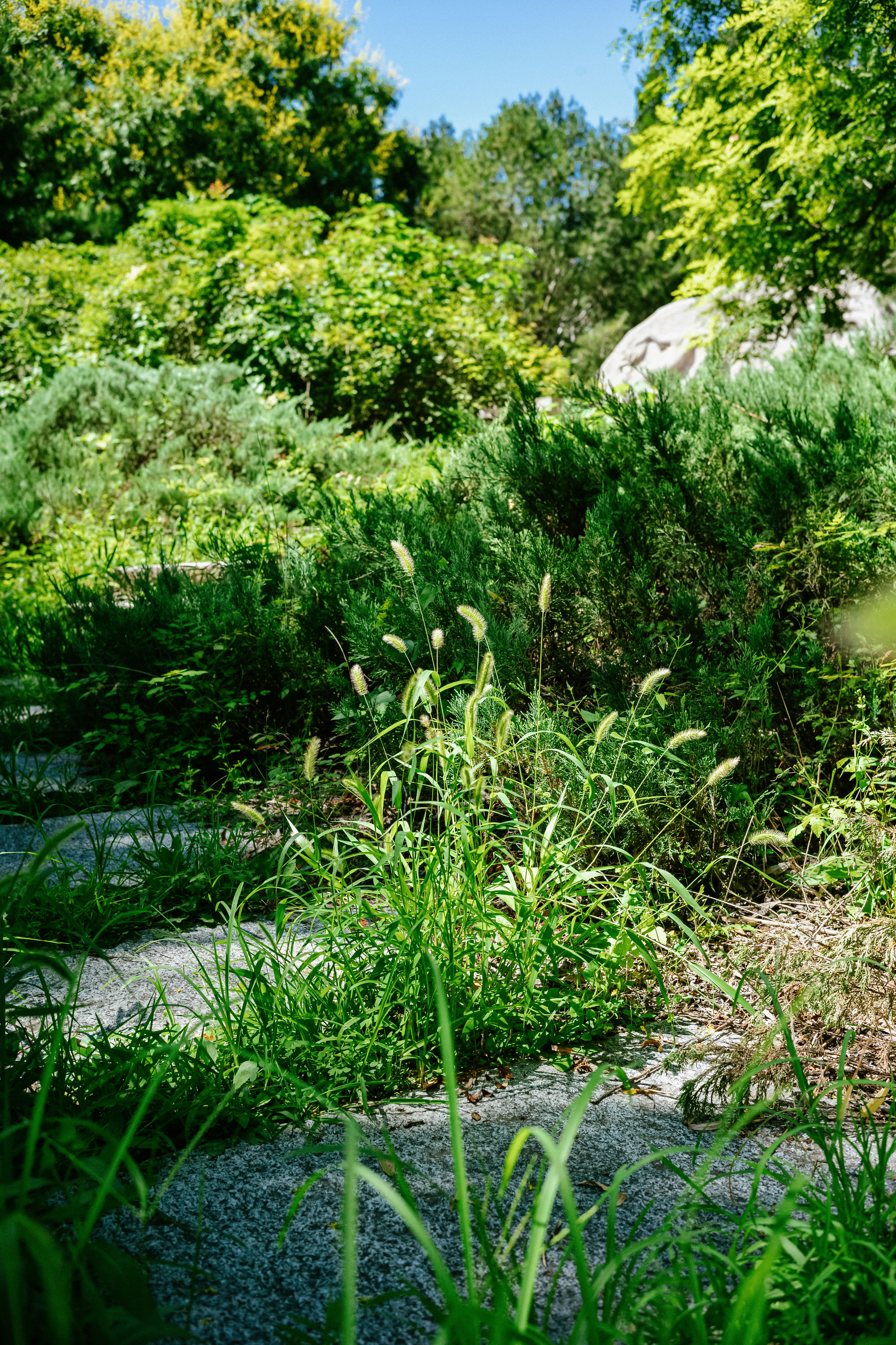 Photo by tommaomaoer