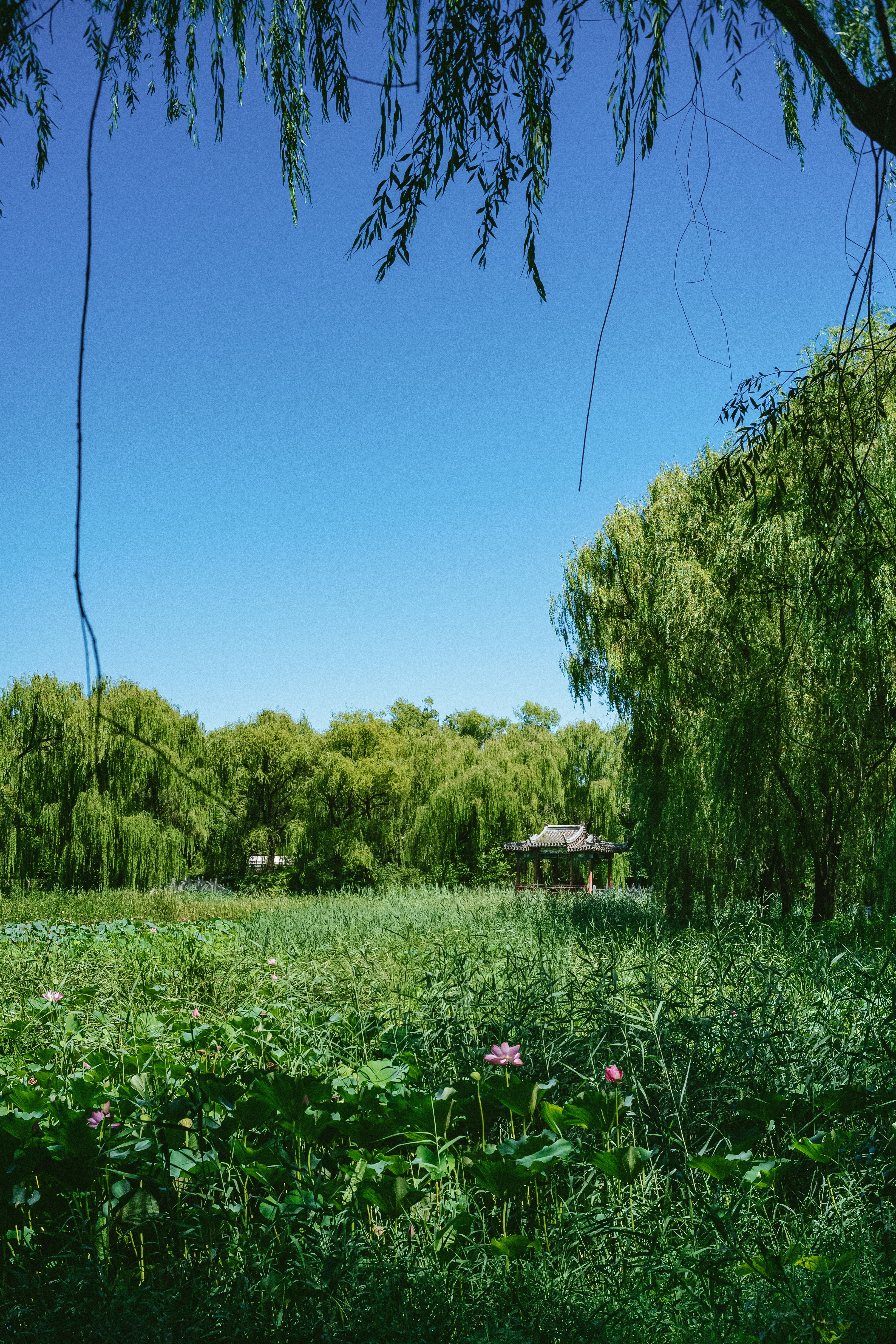 Photo by tommaomaoer