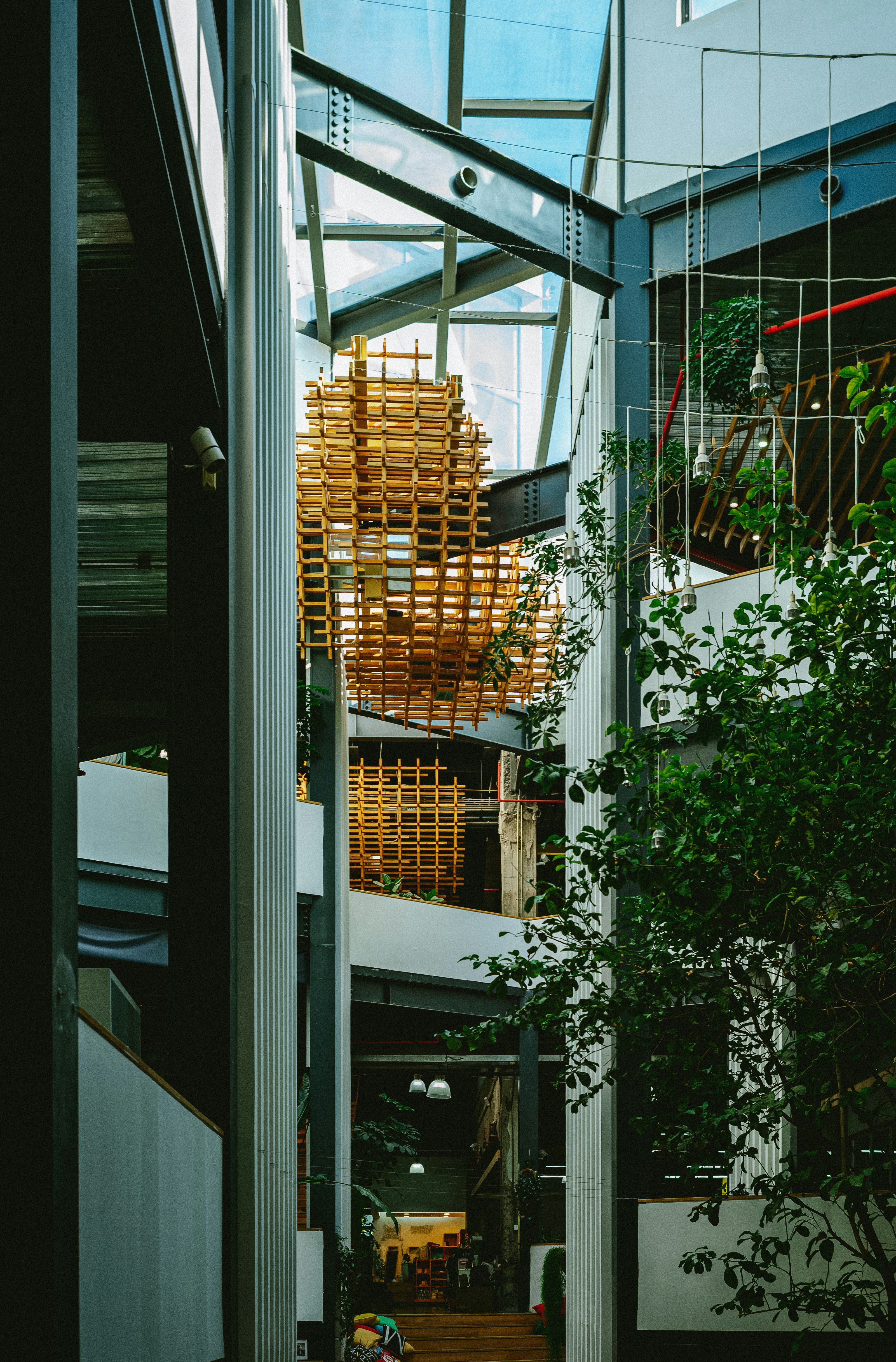 Photo by tommaomaoer