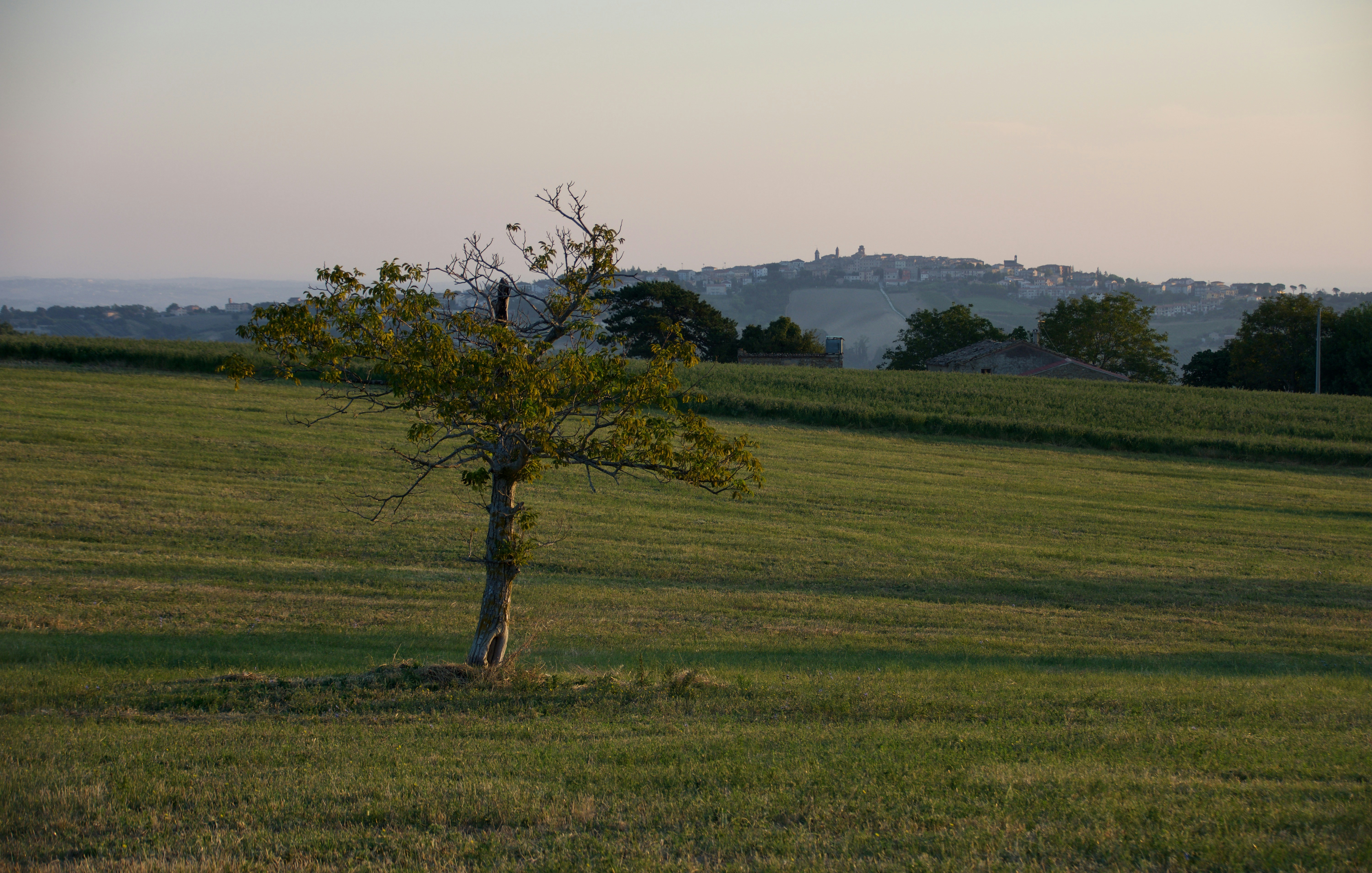 Photo by mariobeducci