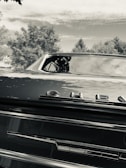 A black vintage car's rear end with a prominent 'Chevrolet' emblem. The car is positioned against a backdrop of trees and a partly cloudy sky. The image is captured in black and white, giving it a nostalgic feel.