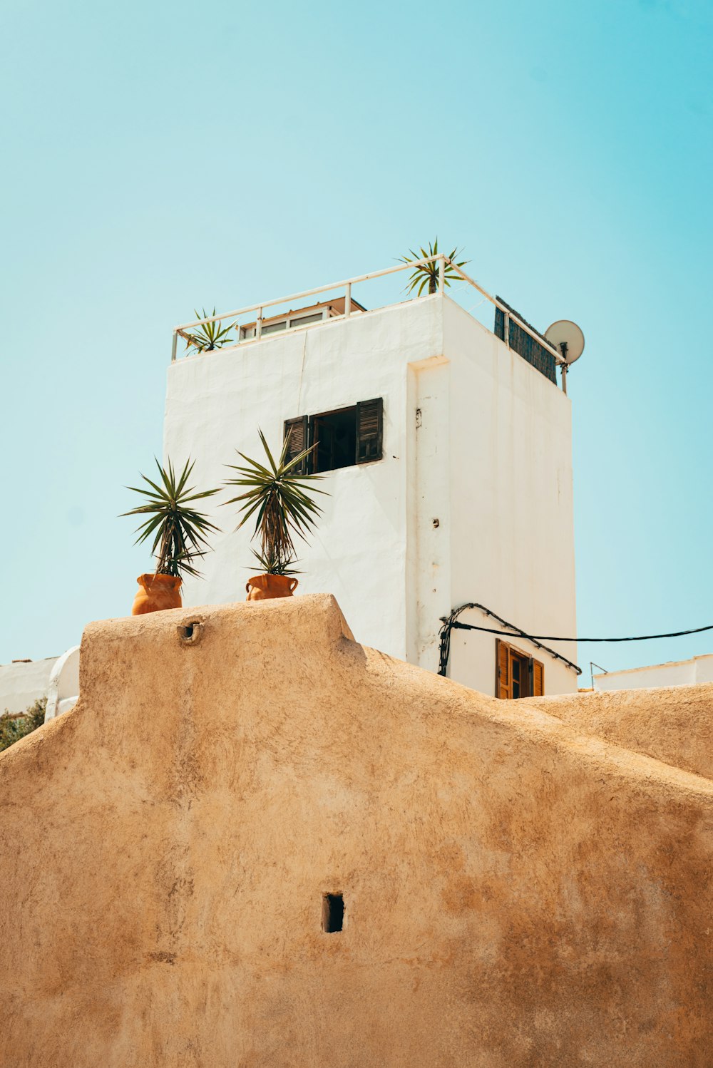 a white building with two plants on top of it