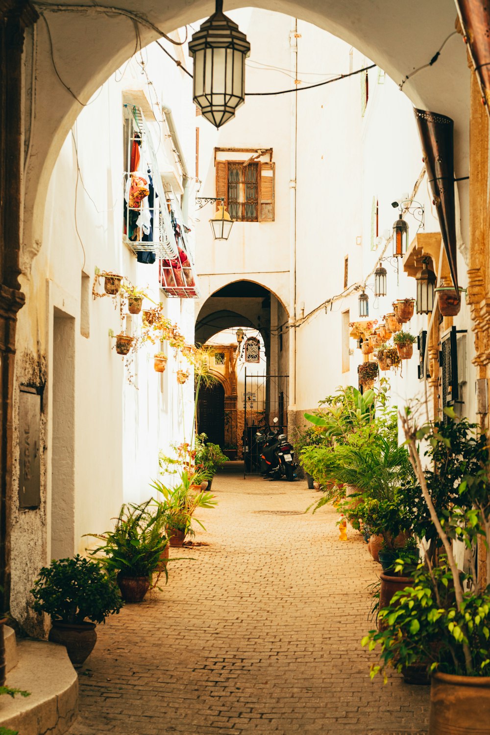 a narrow alley way with potted plants and hanging lights