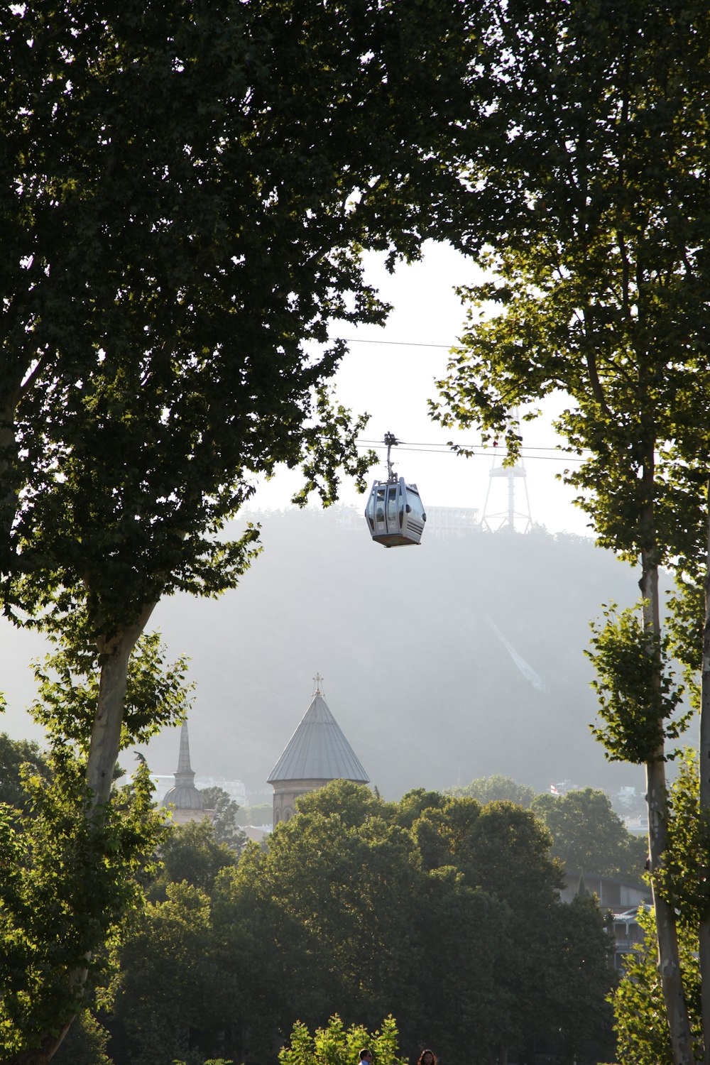 a gondola suspended over a park with trees in the foreground