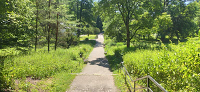 A serene pathway through a quiet park symbolizing clear direction and recovery