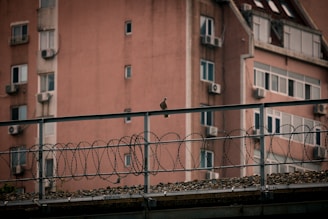 A lone bird perches on a metal railing topped with barbed wire. The background features a tall, pinkish residential building with multiple windows and visible air conditioners.
