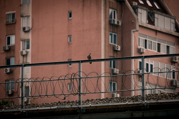 A lone bird perches on a metal railing topped with barbed wire. The background features a tall, pinkish residential building with multiple windows and visible air conditioners.