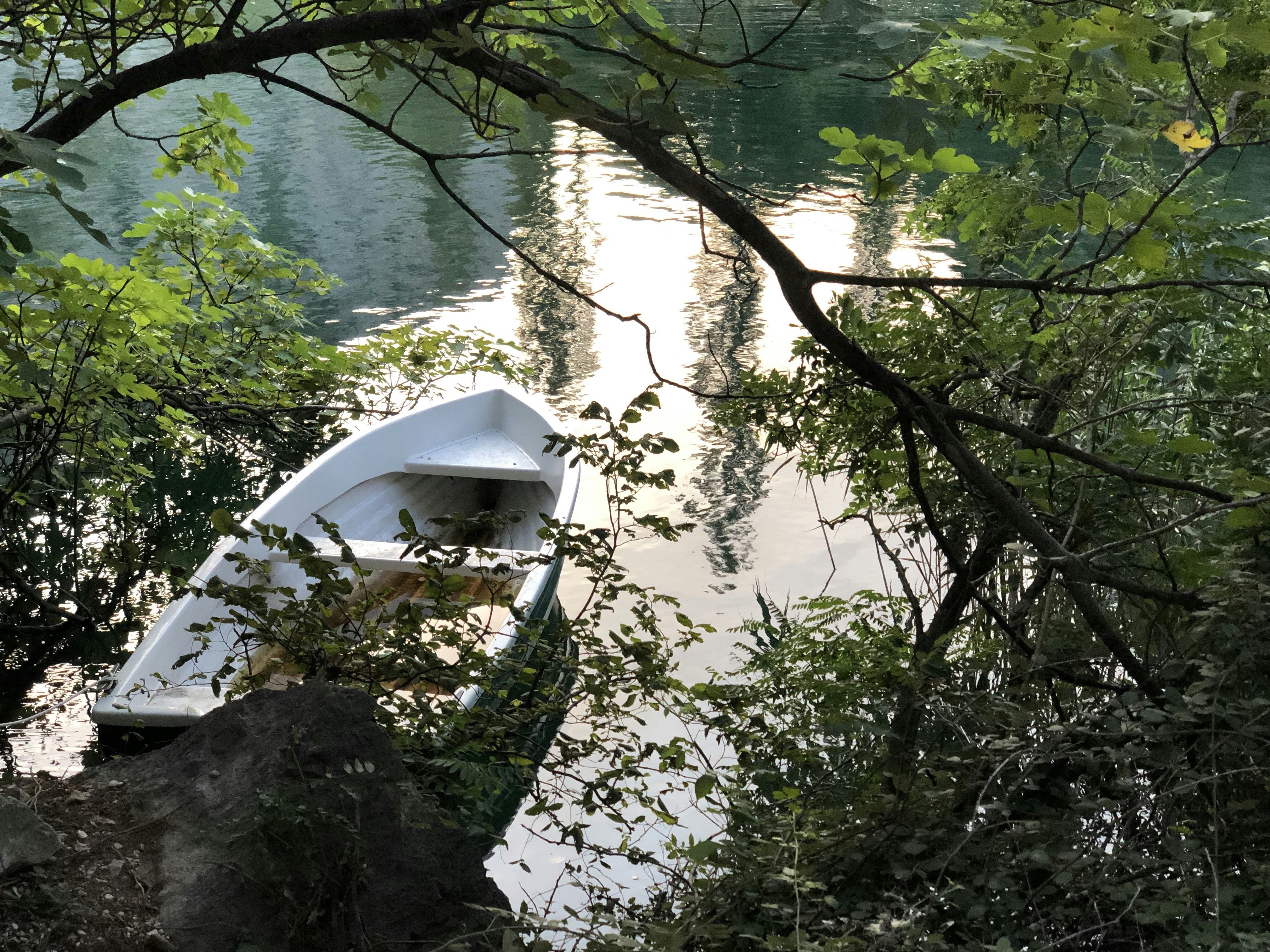 a white boat sitting on top of a river next to a forest
