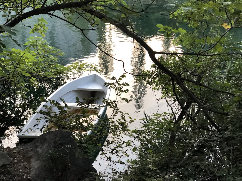 a white boat sitting on top of a river next to a forest