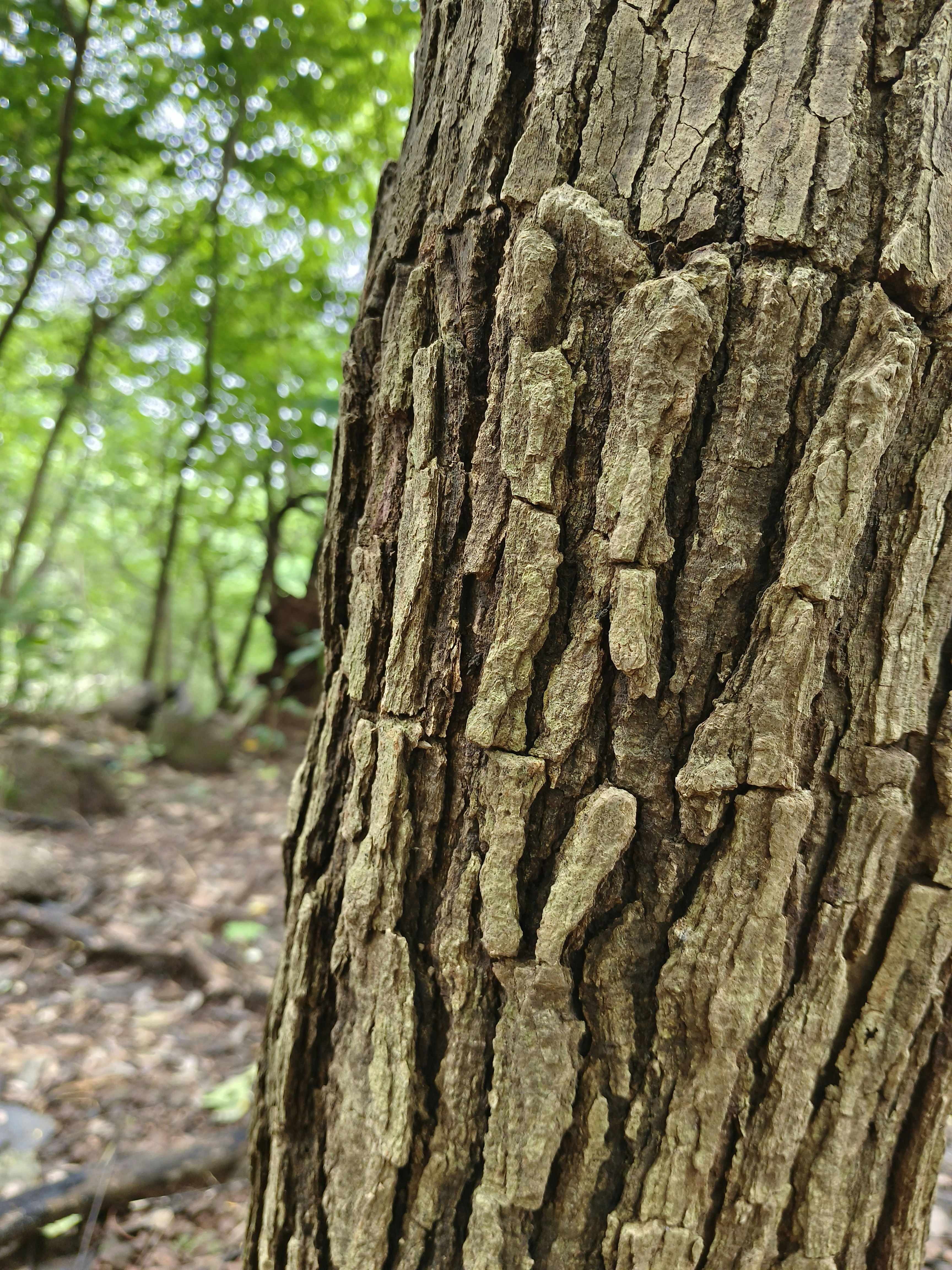 Photo by abhishek_05