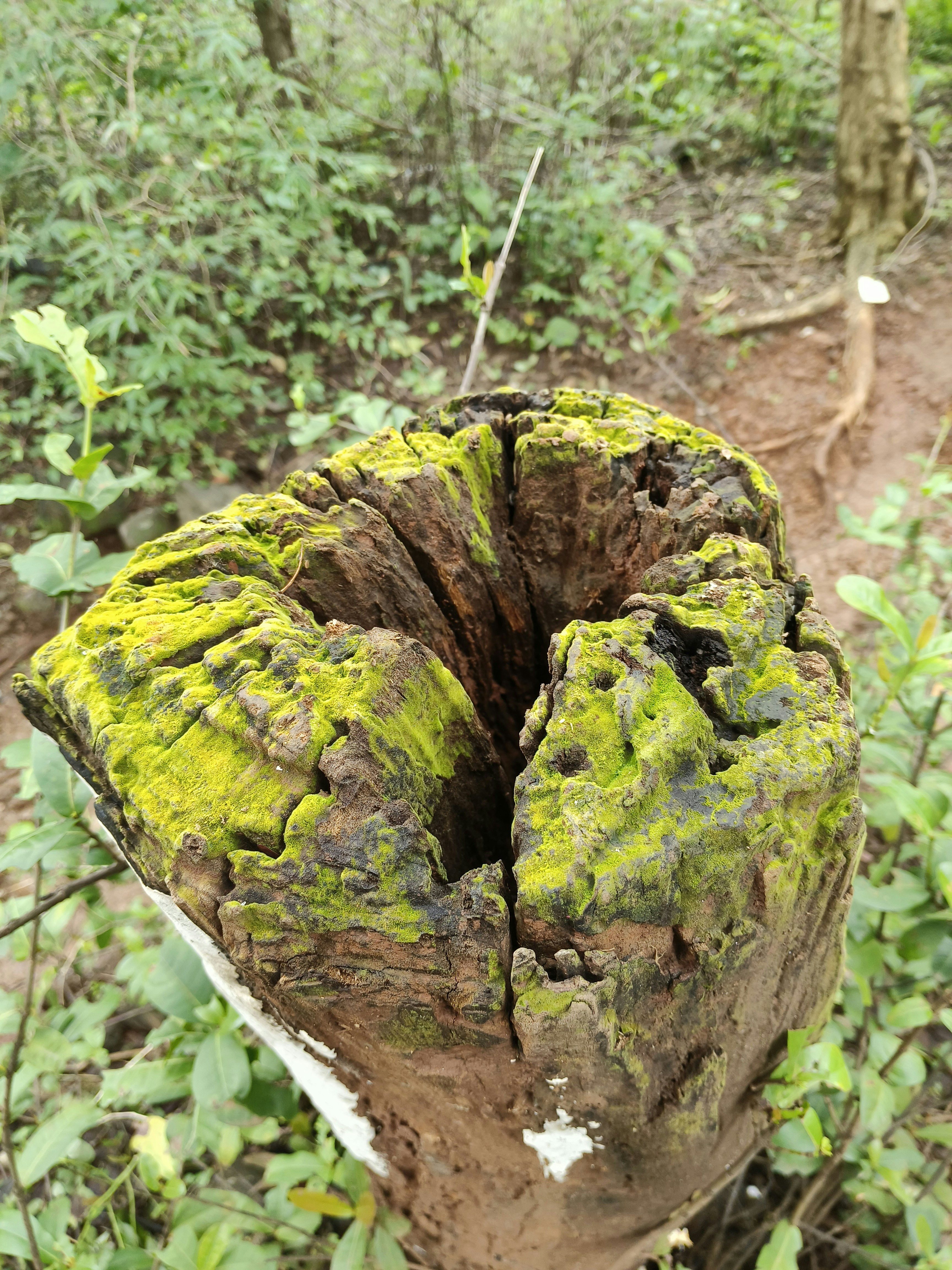 gray computer monitor