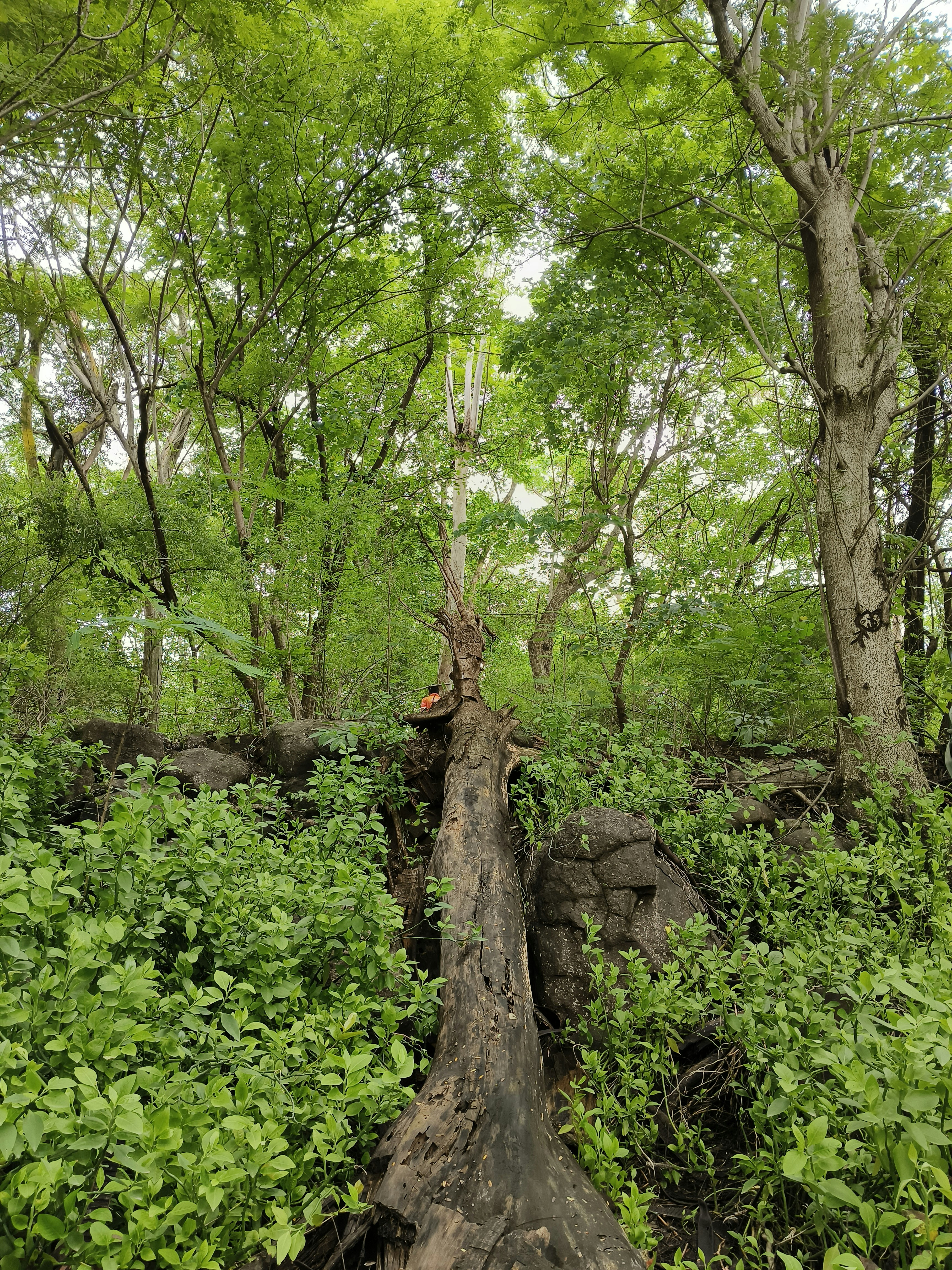 Photo by abhishek_05