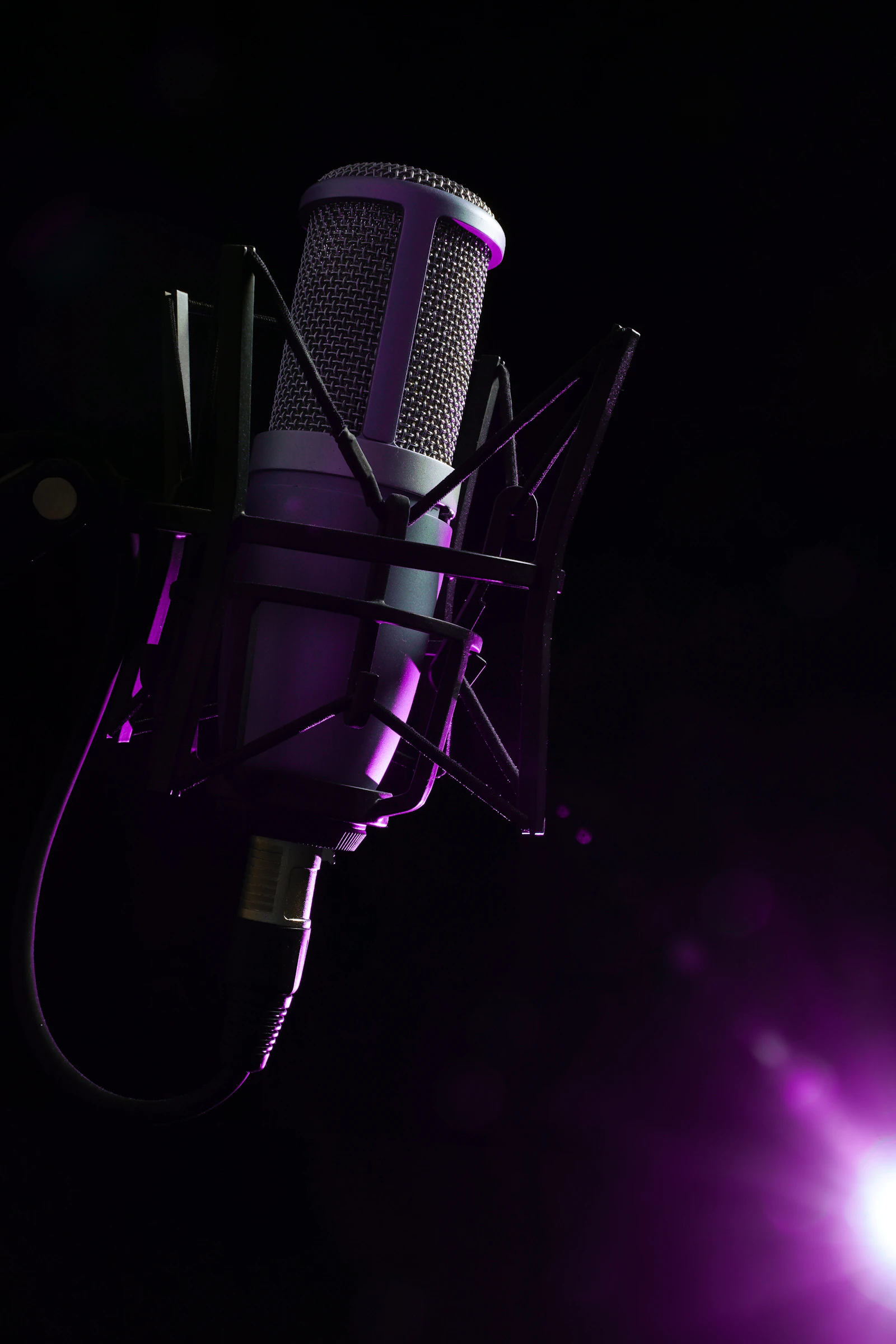A studio condenser microphone on a shock mount, lit from behind in violet against black.