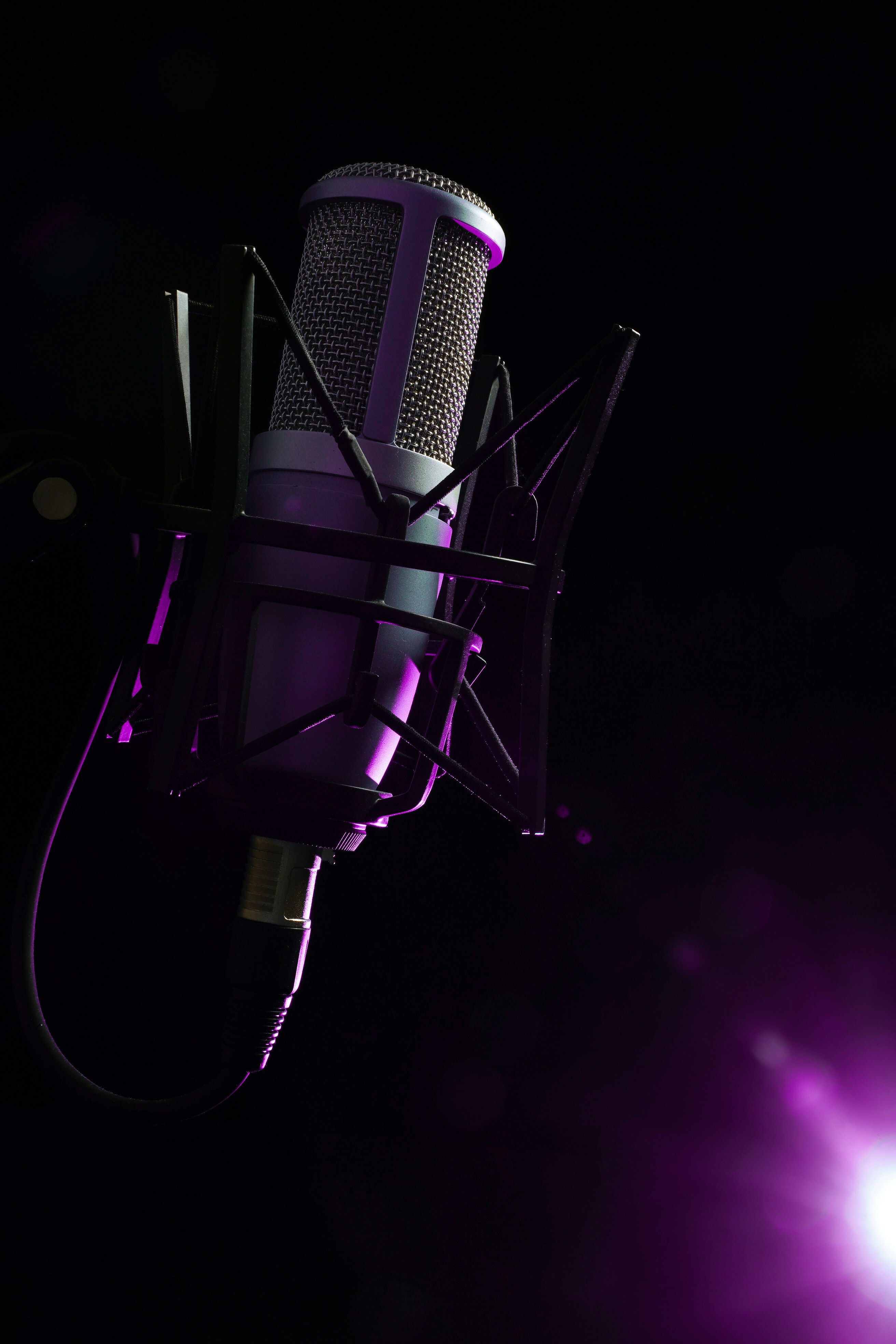 photo-1693066867835-970840dad310?ixid=M3