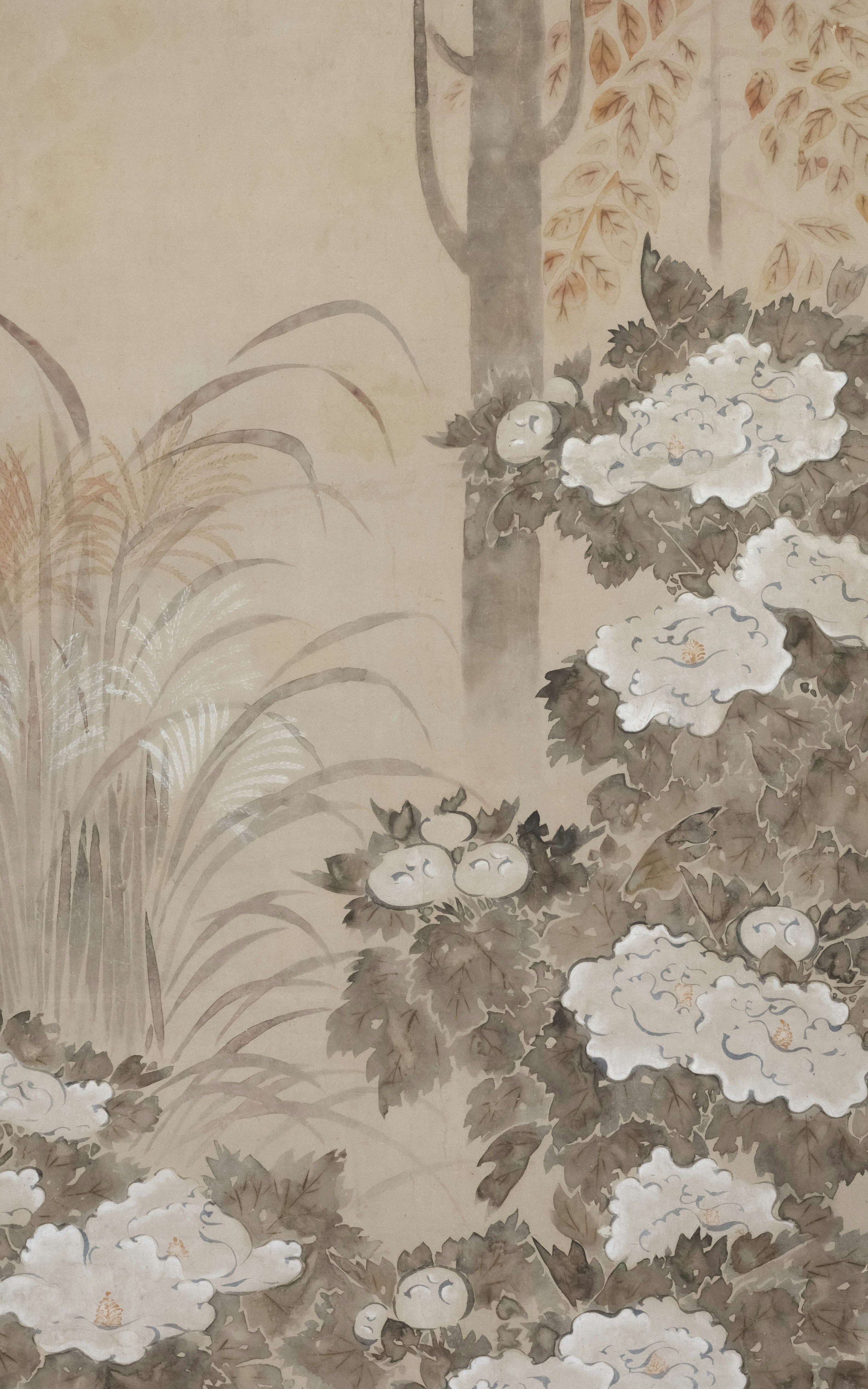 Photo by clevelandart