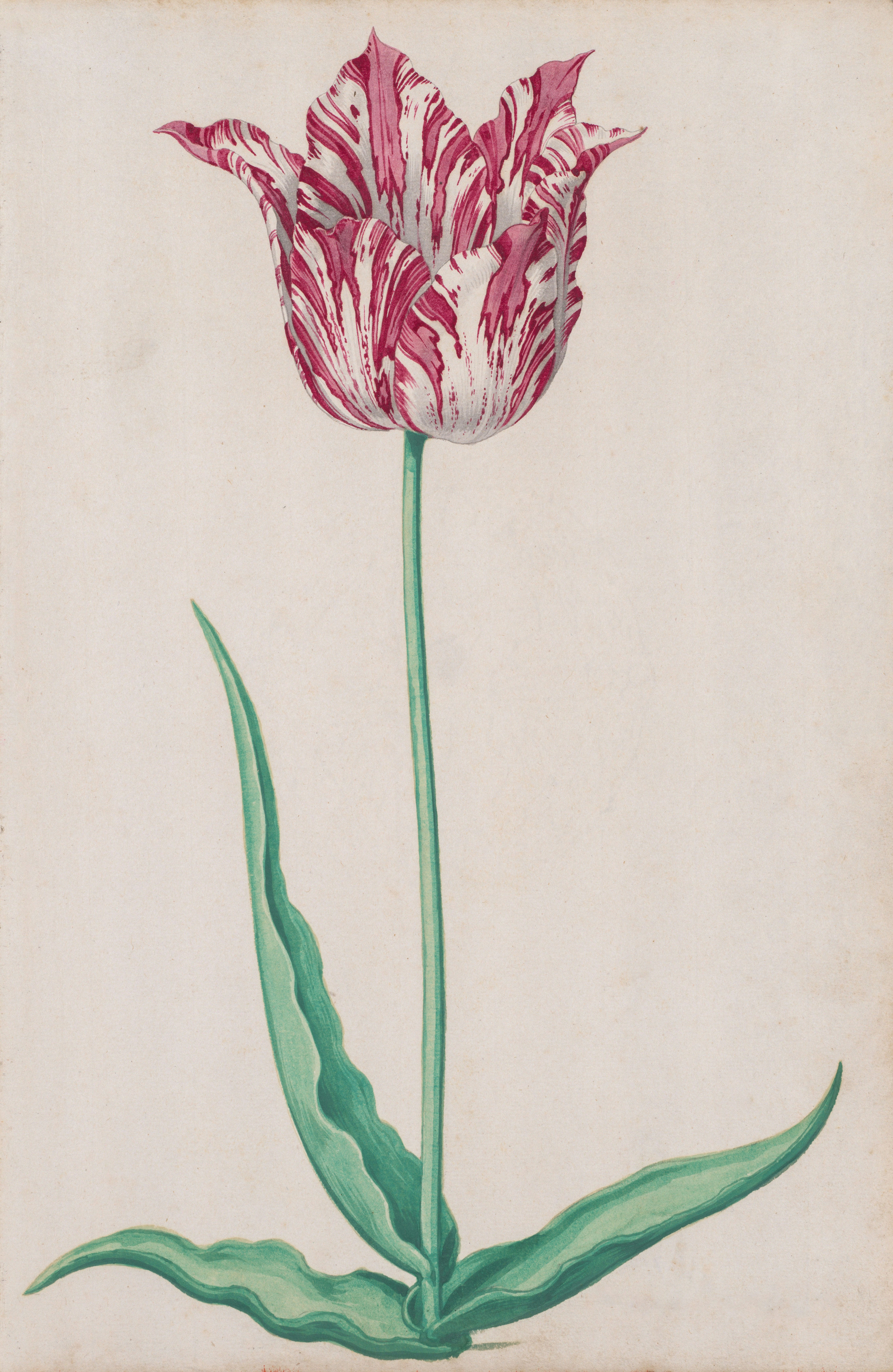 Photo by clevelandart