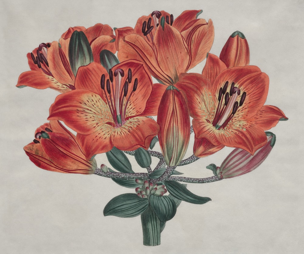 a drawing of a bouquet of orange flowers