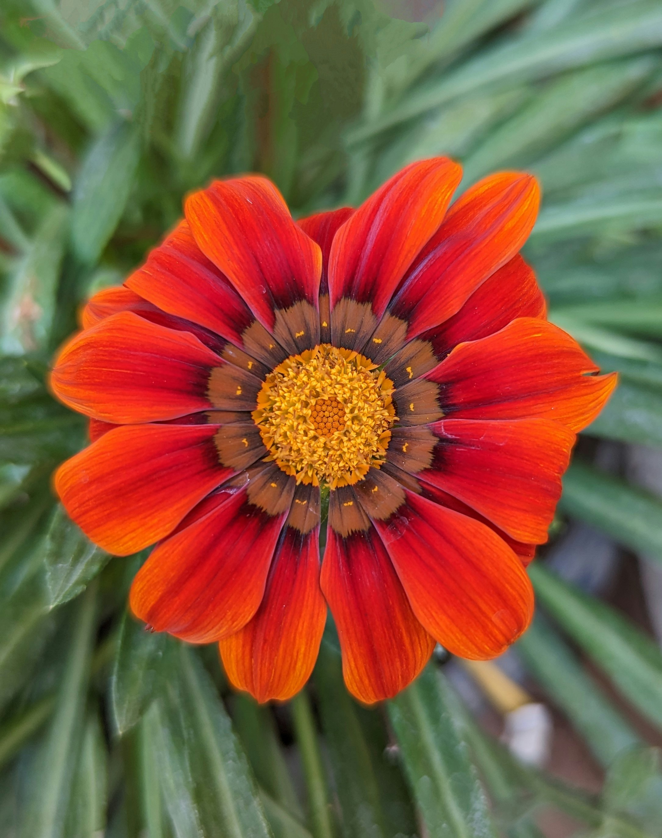 Vinayak Dixit (@vinsdixit) | Communauté photos Unsplash