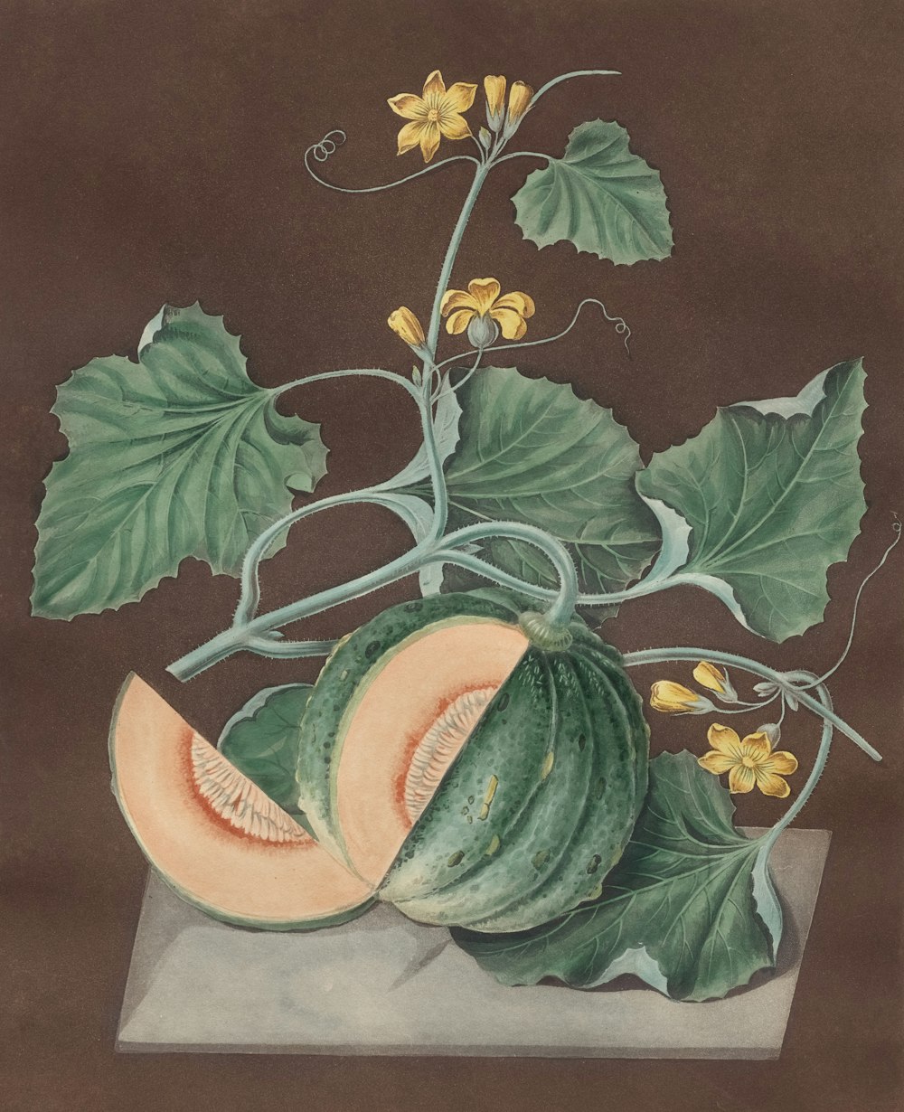 a painting of a melon with leaves and flowers