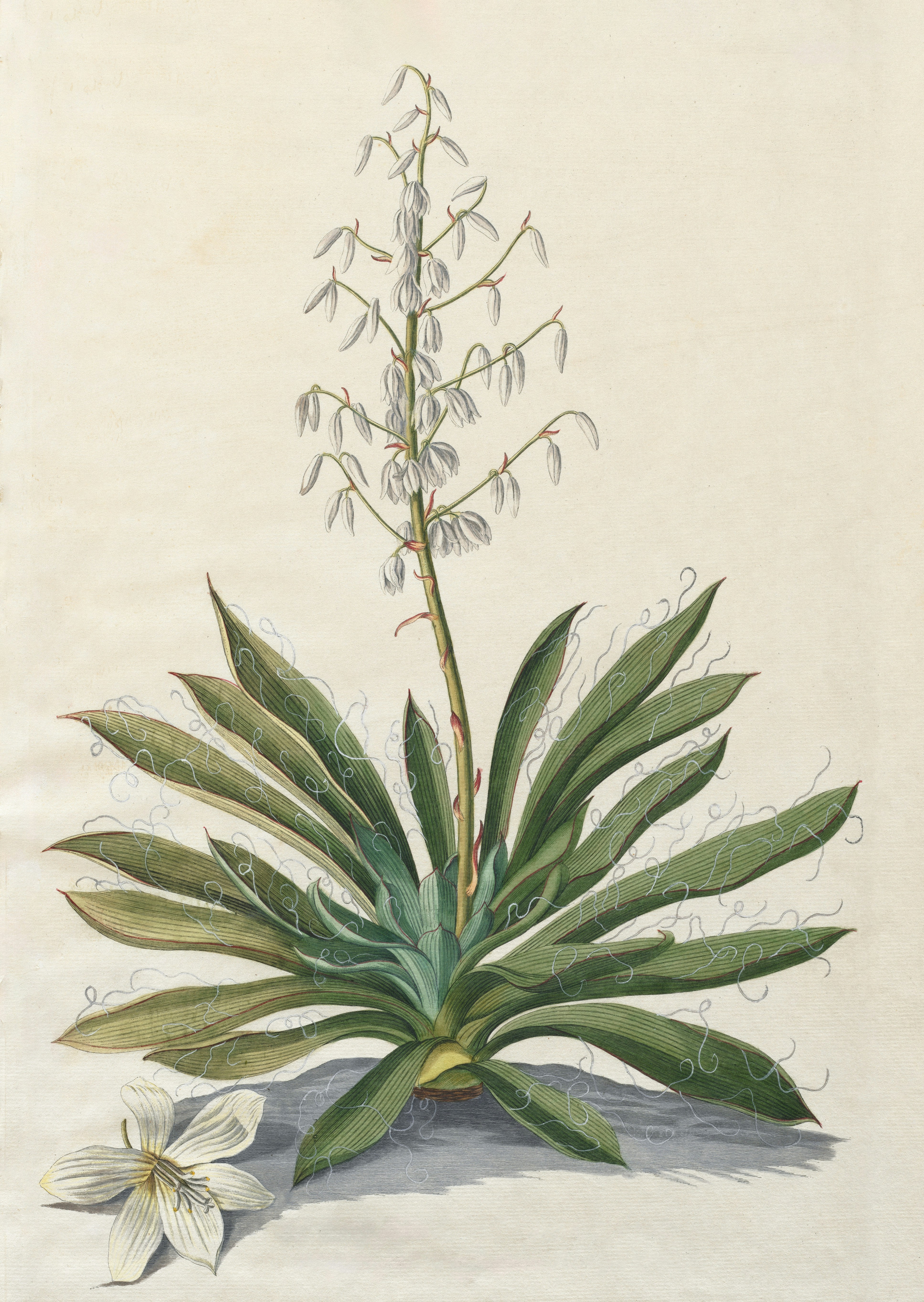 Photo by clevelandart