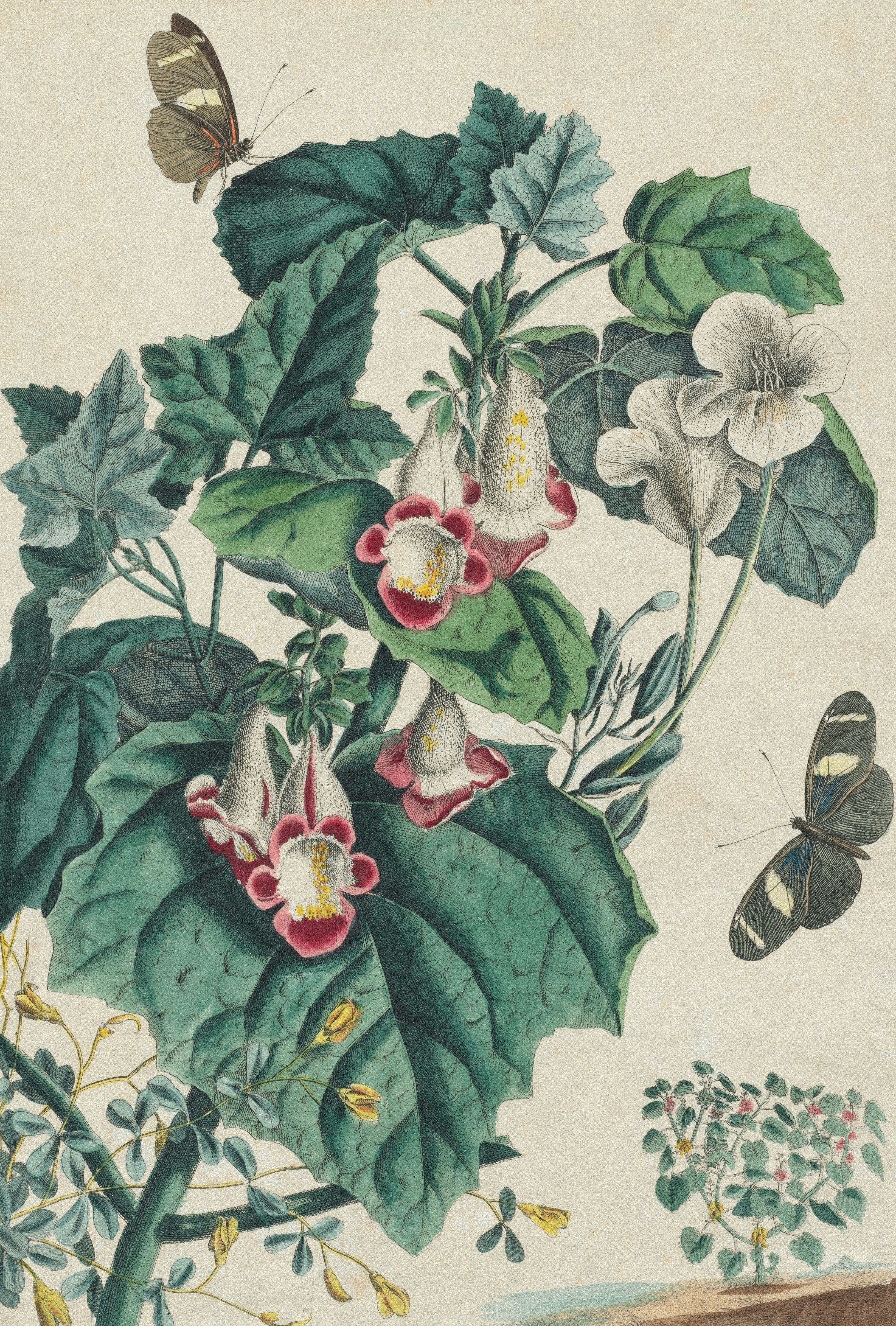 Photo by clevelandart