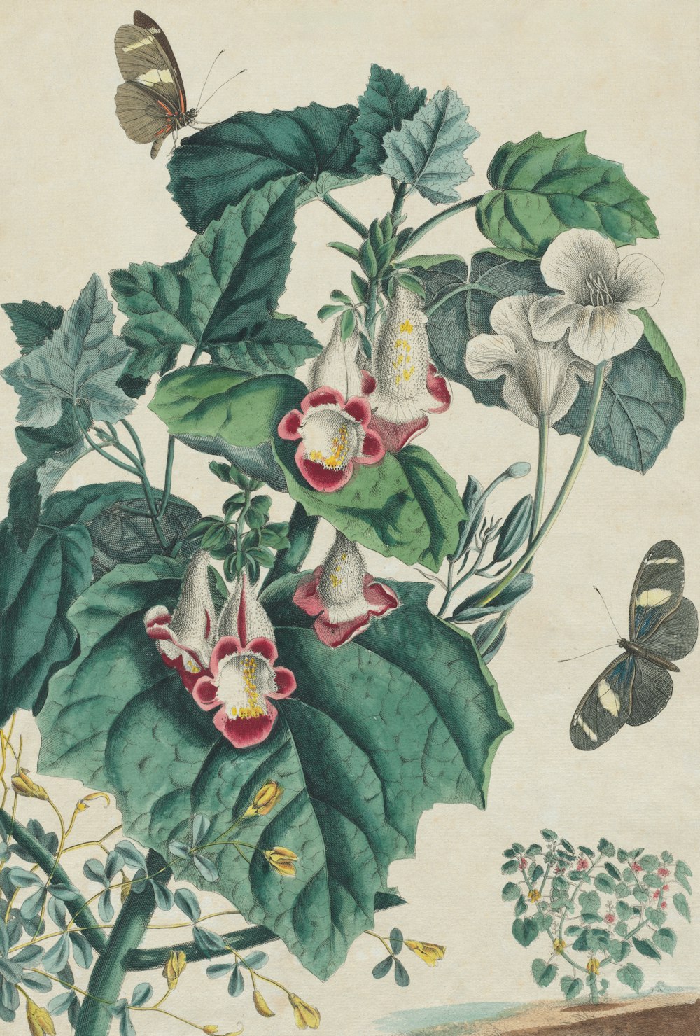a painting of flowers and butterflies on a white background