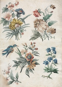 A variety of intricately illustrated flowers and plants are showcased, featuring a mix of colors such as blue, pink, yellow, and green. Among them, a small bird with vibrant blue plumage is perched on a branch. The style is reminiscent of botanical prints, set against an off-white background with a slightly aged appearance, lending an antique feel to the artwork.