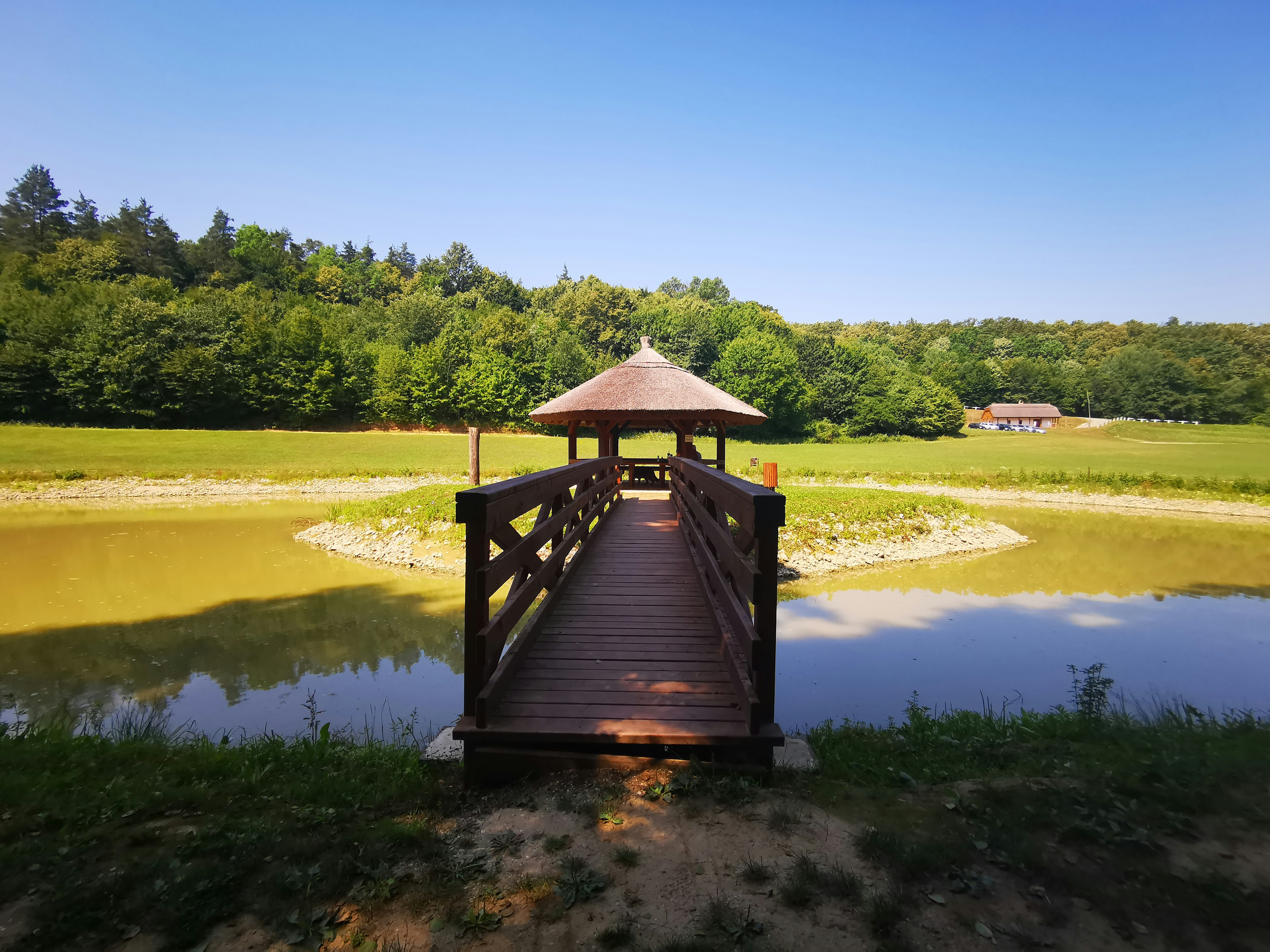 a small wooden bridge over a small pond