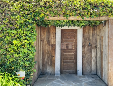 A wooden door is set within a rustic, weathered wooden wall, entirely surrounded by lush green ivy. The overhead canopy of ivy contrasts with the natural texture of the wooden structure. A doorbell is visible on the right side of the door. A small security sign is placed near the bottom left corner, nestled among the plants.