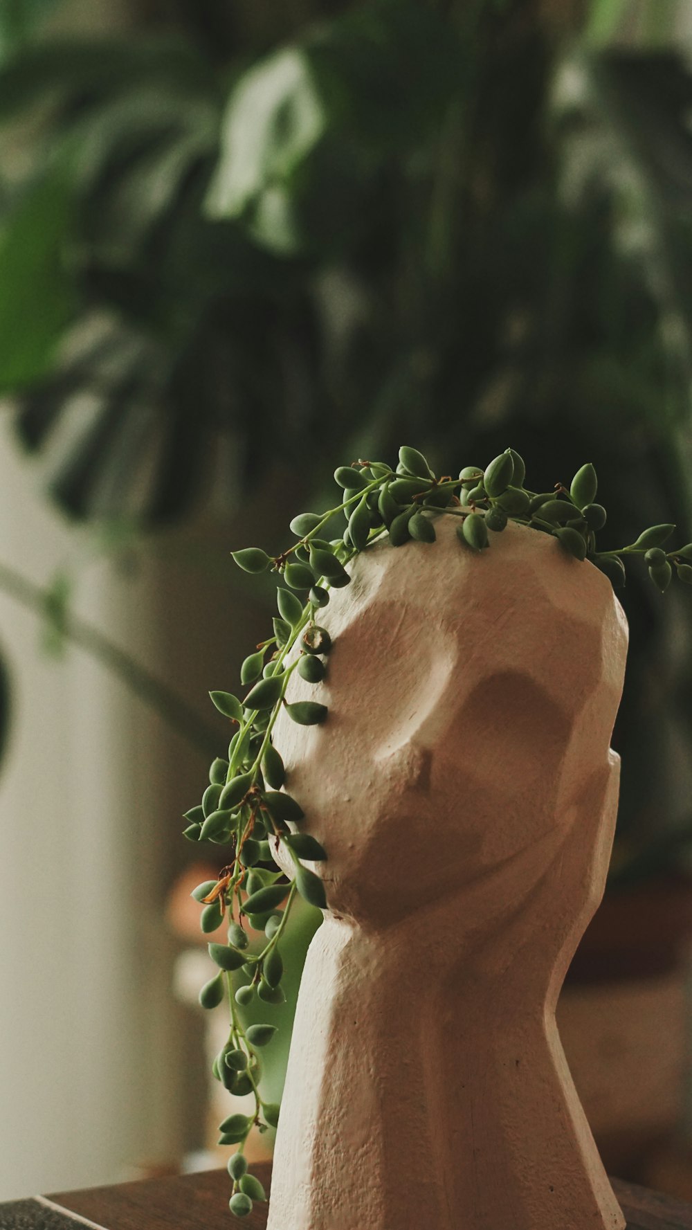 a clay head with a plant growing out of it