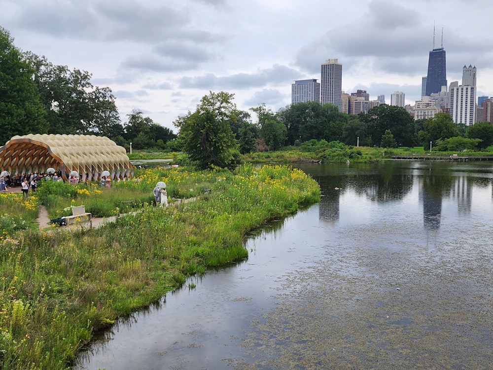 a large body of water next to a lush green park