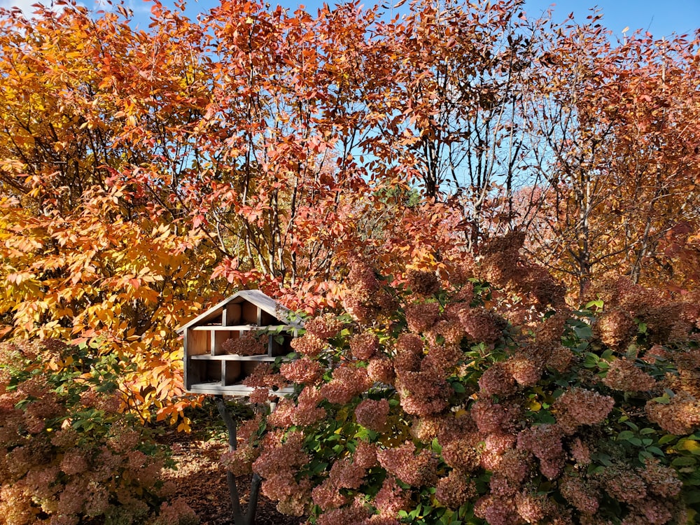 a bird house in the middle of some trees