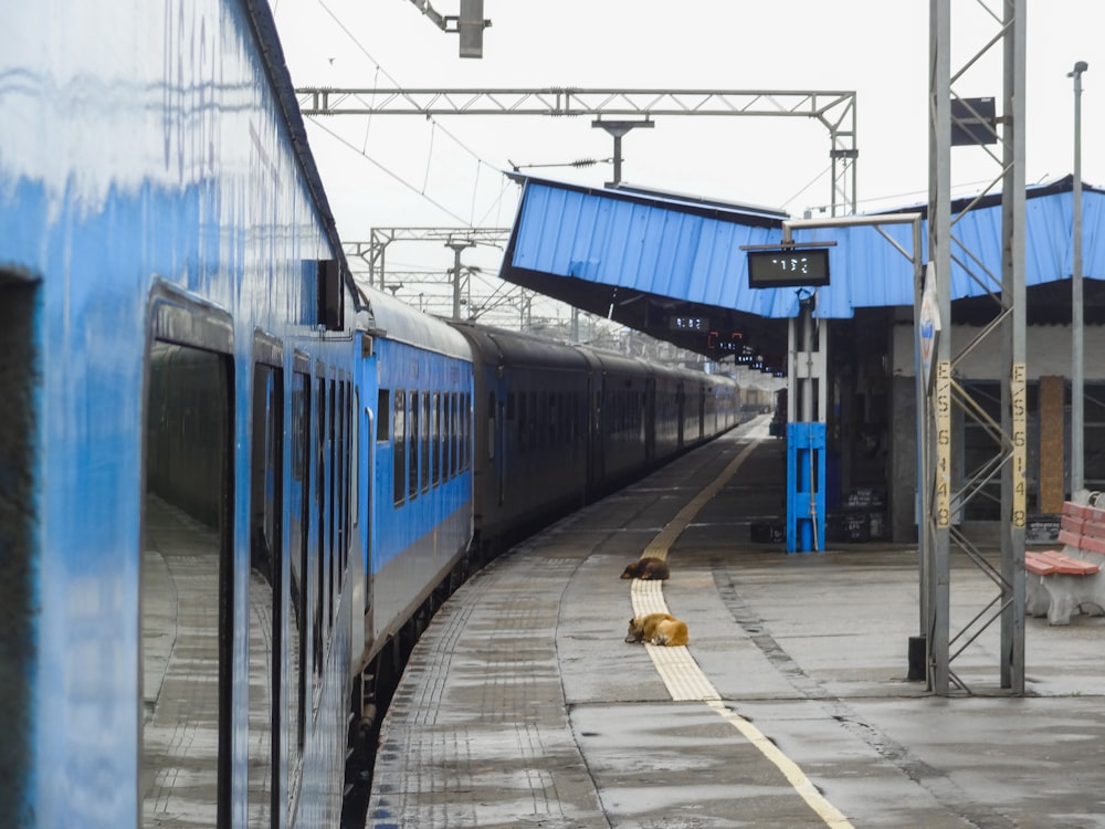 a blue train traveling down train tracks next to a loading platform