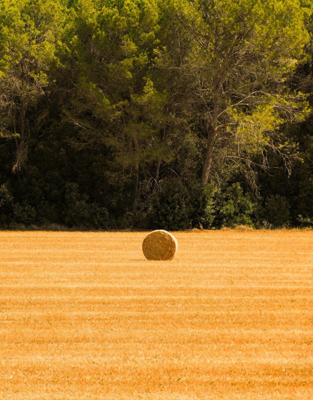 a bale of hay in a field with trees in the background
