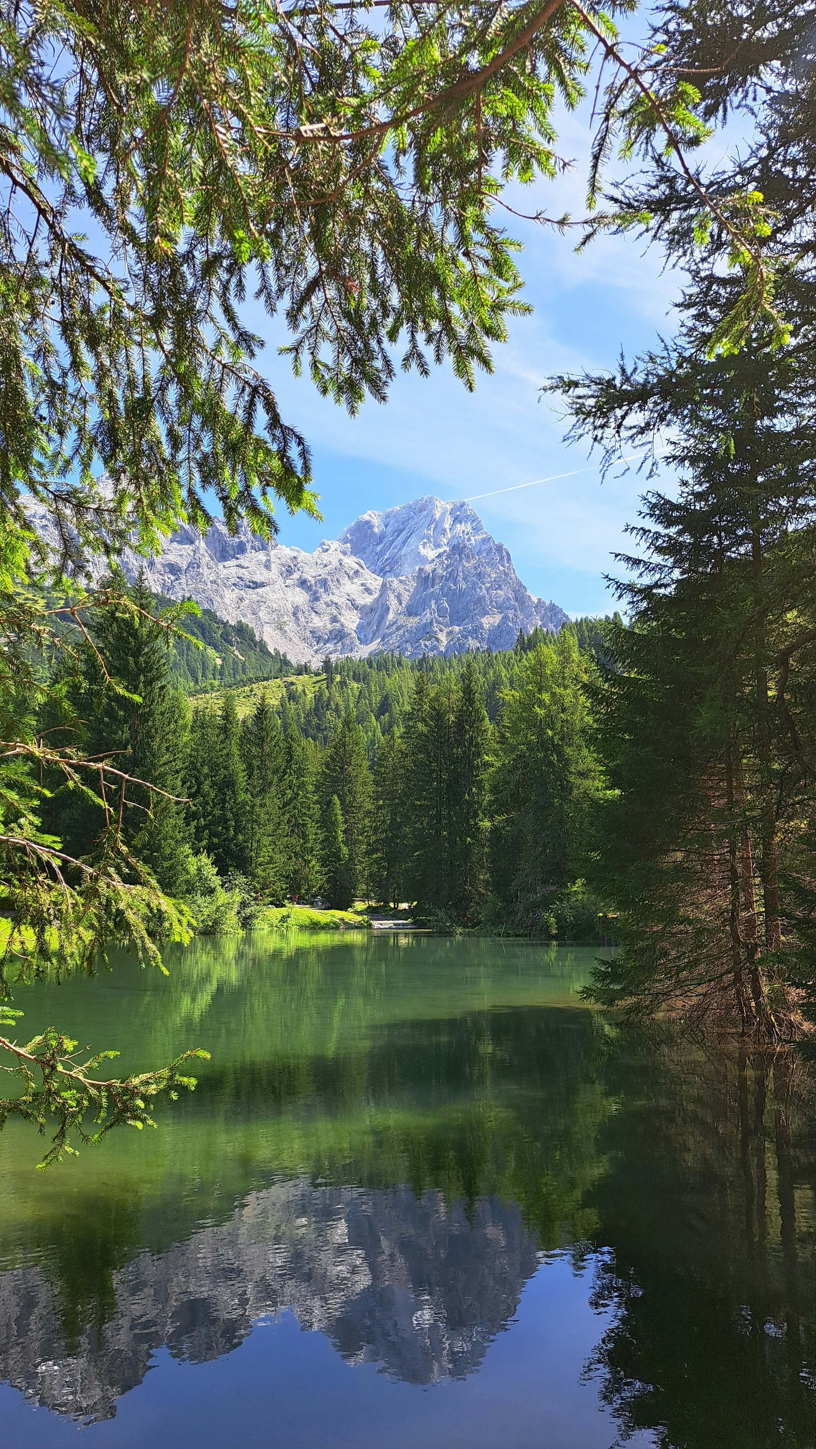 a lake surrounded by trees with a mountain in the background