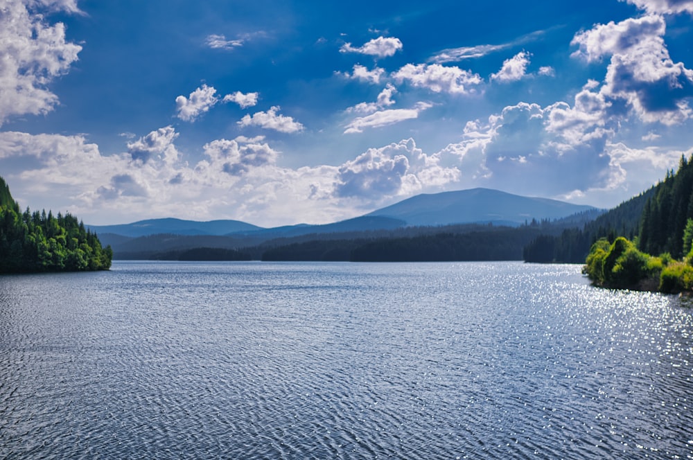 a body of water surrounded by trees and mountains