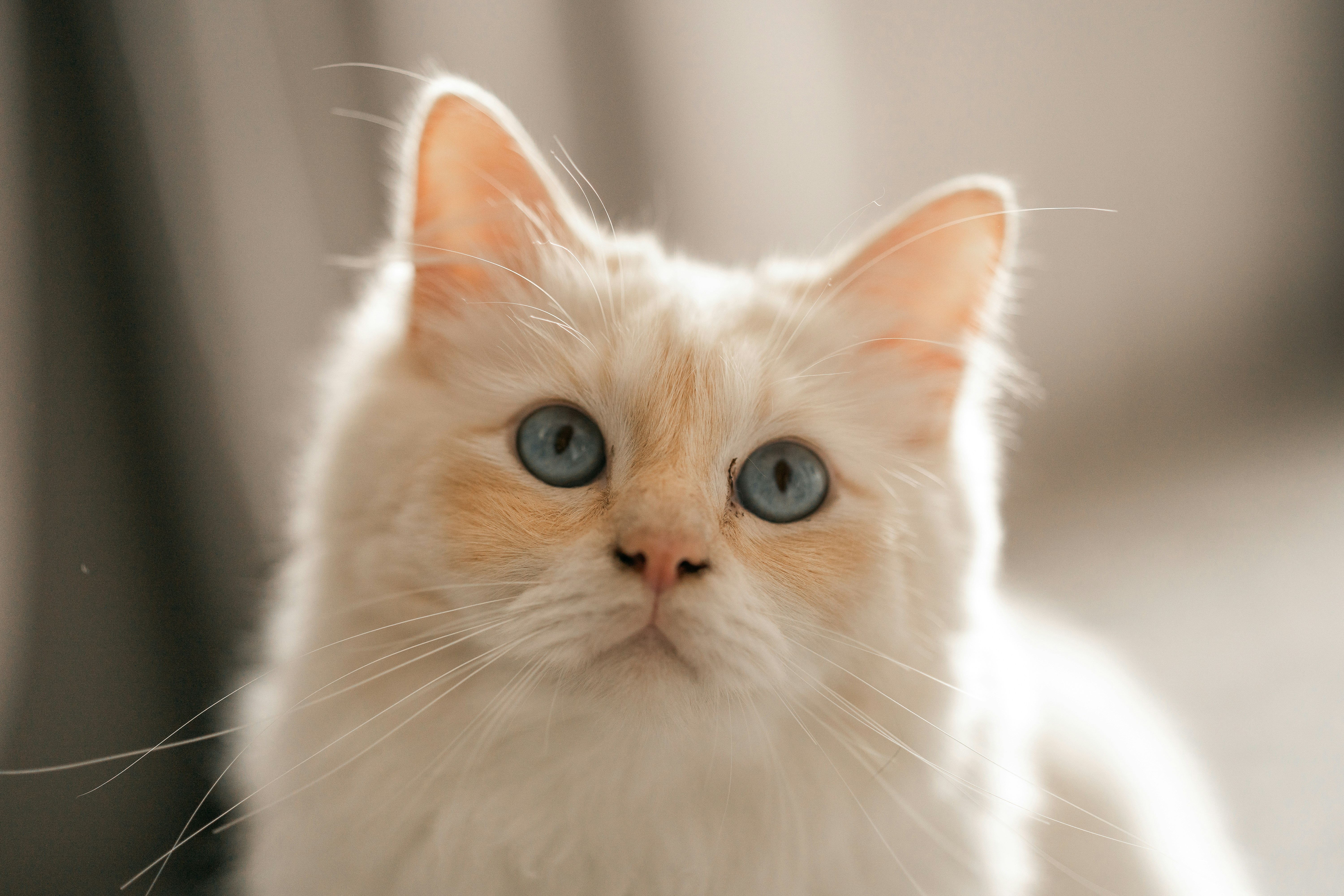 Photo by omarvellous14