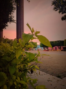 A vibrant render of a residential lot with green parks and walking paths under soft sunlight.