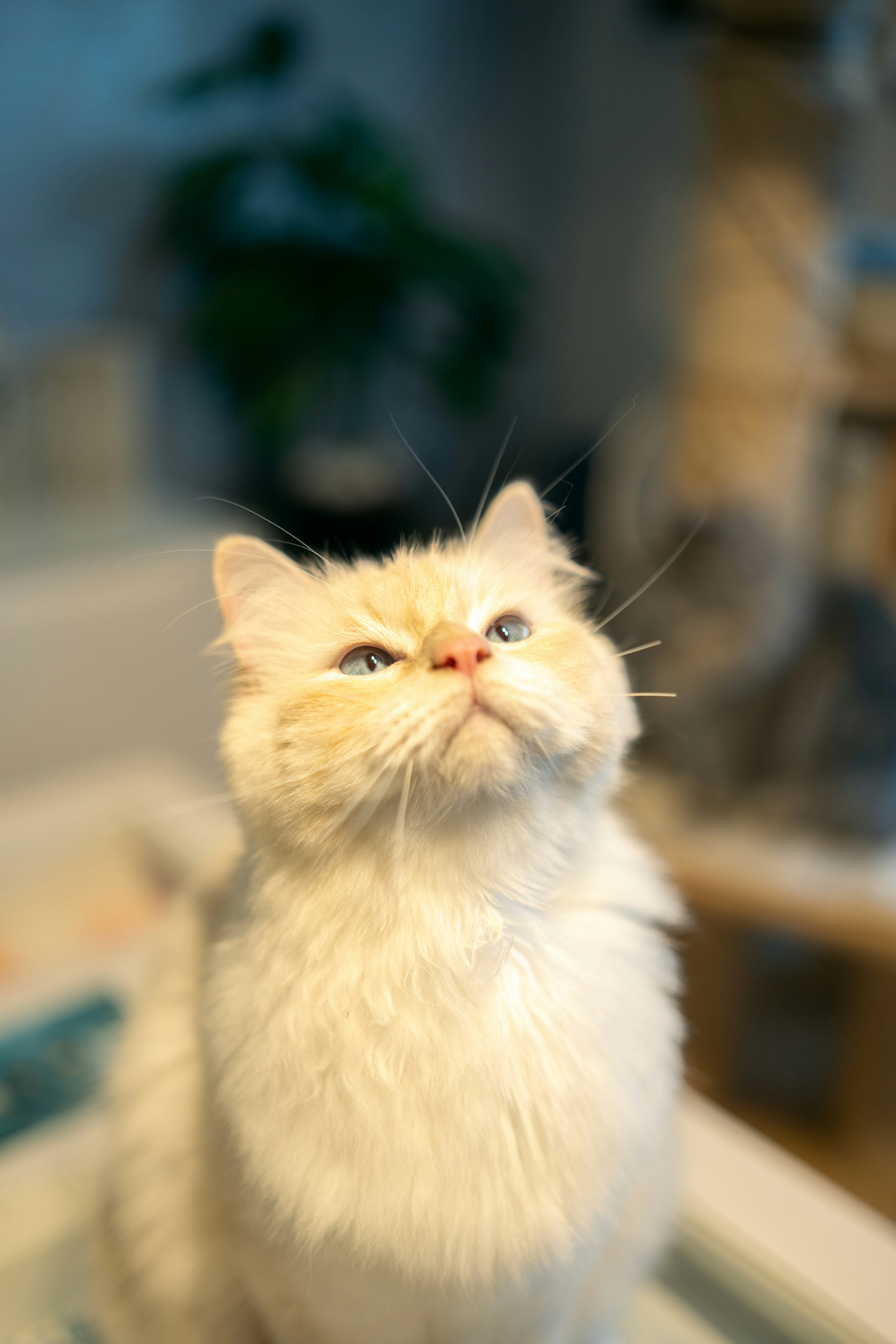 Photo by omarvellous14